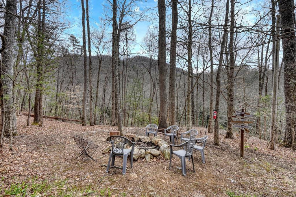 575 Carolina Springs Lane