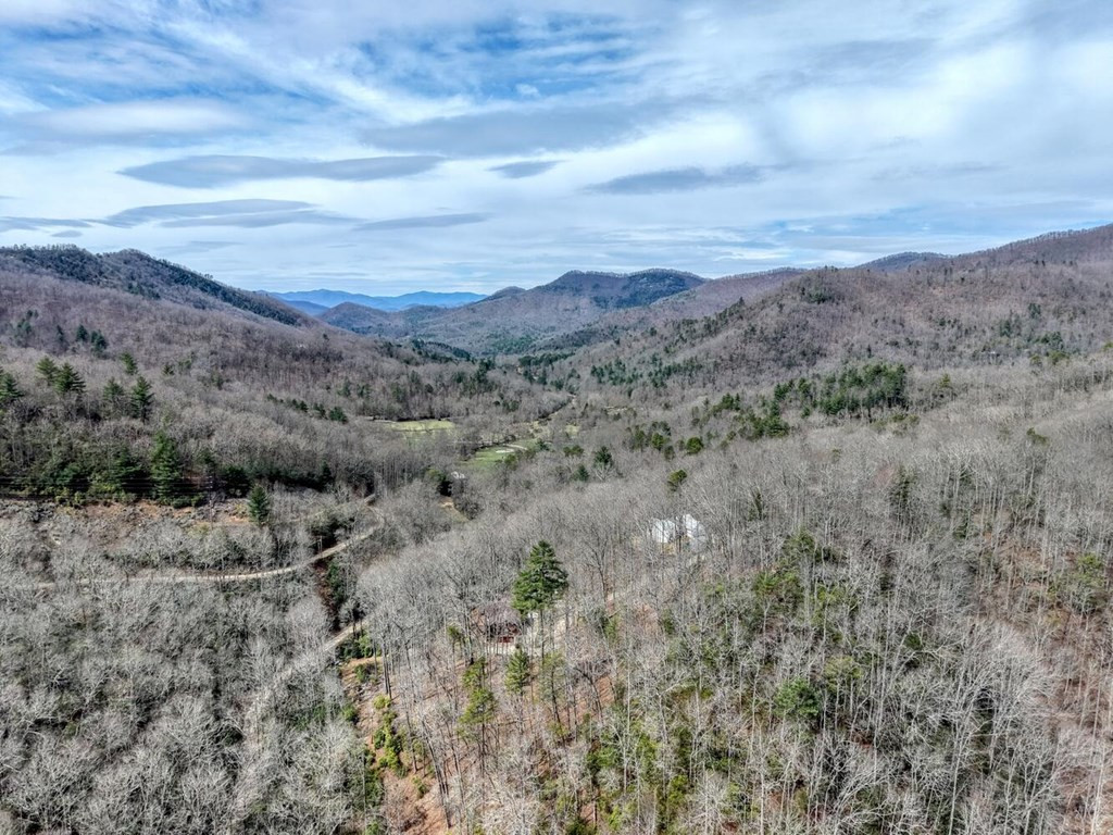 575 Carolina Springs Lane