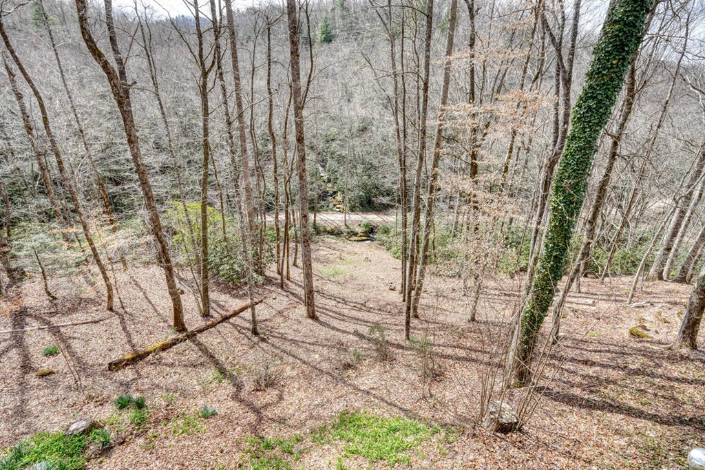 575 Carolina Springs Lane