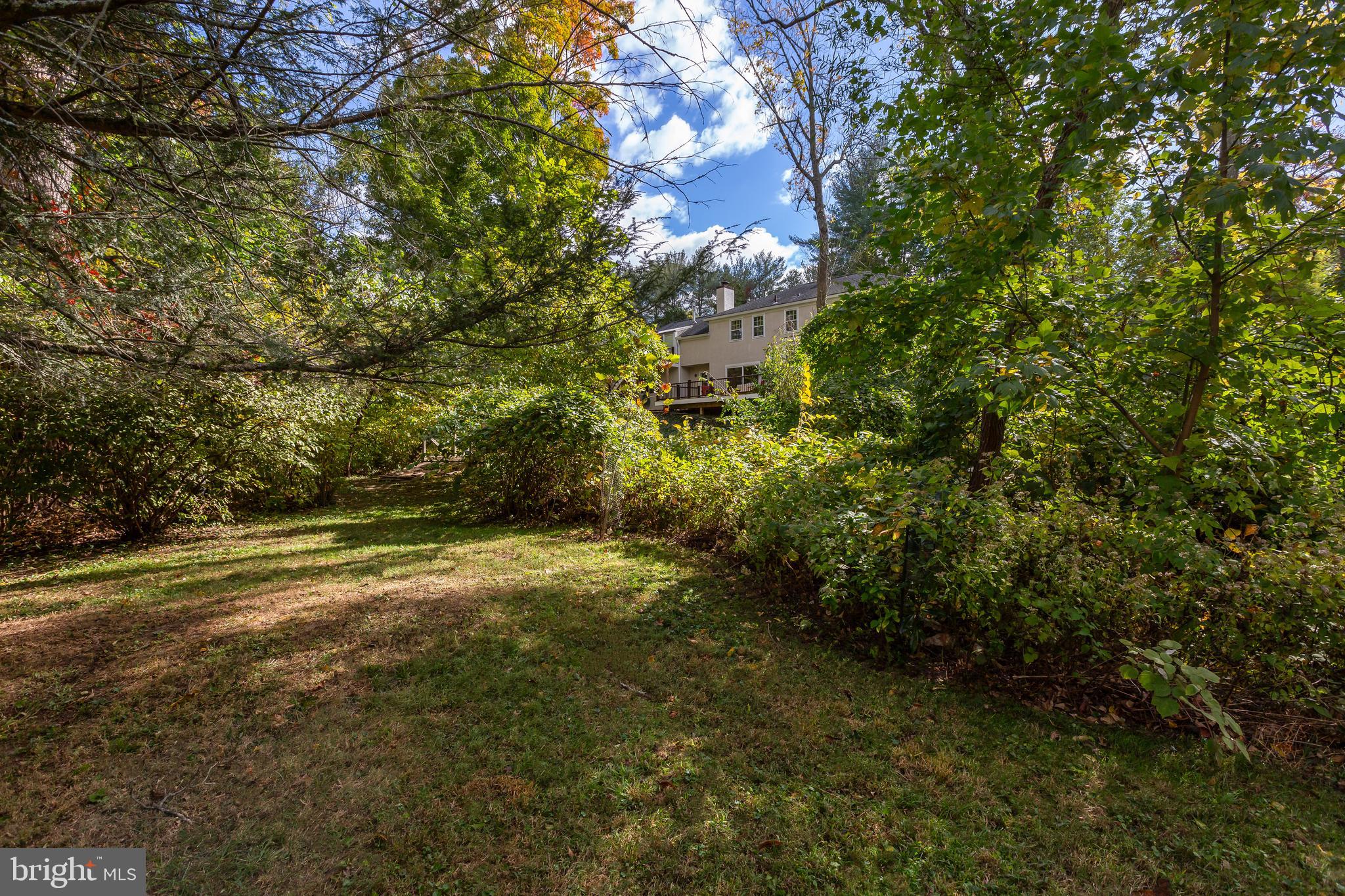 209 Rawles Run Ln