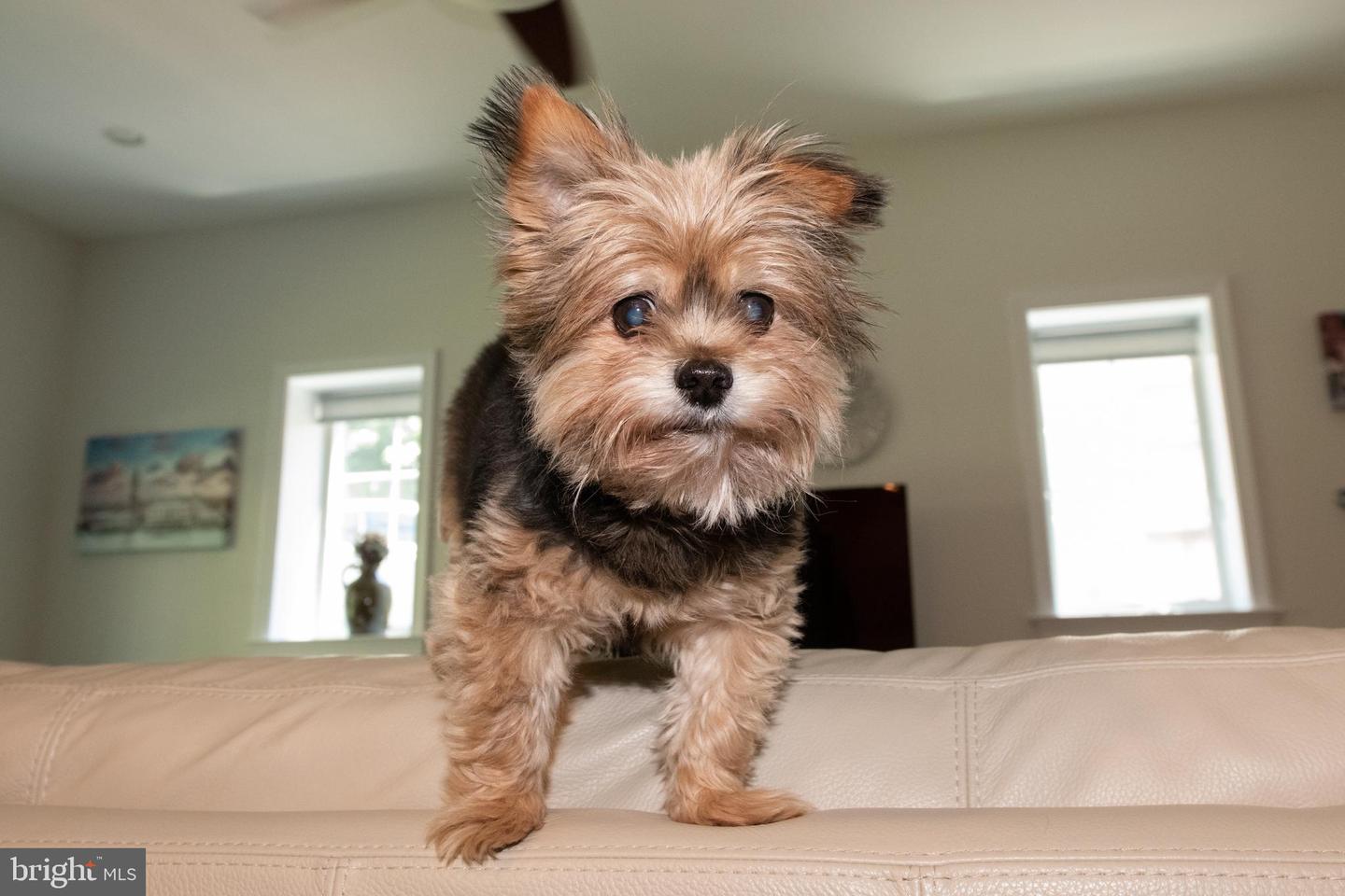 2232 WISTERIA AVENUE