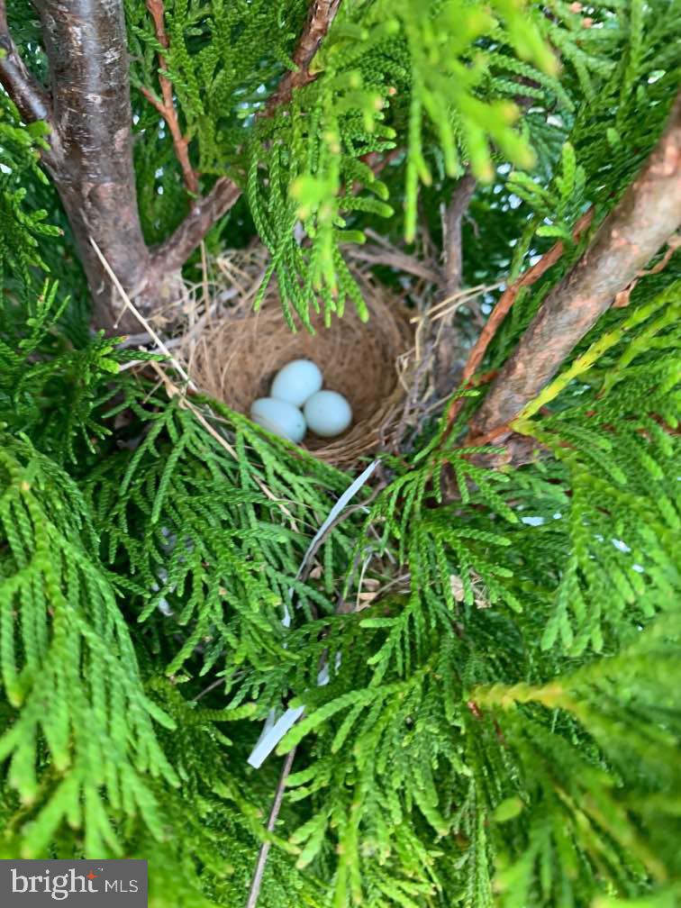 4736 Silverwood STREET Unit: LOT 3