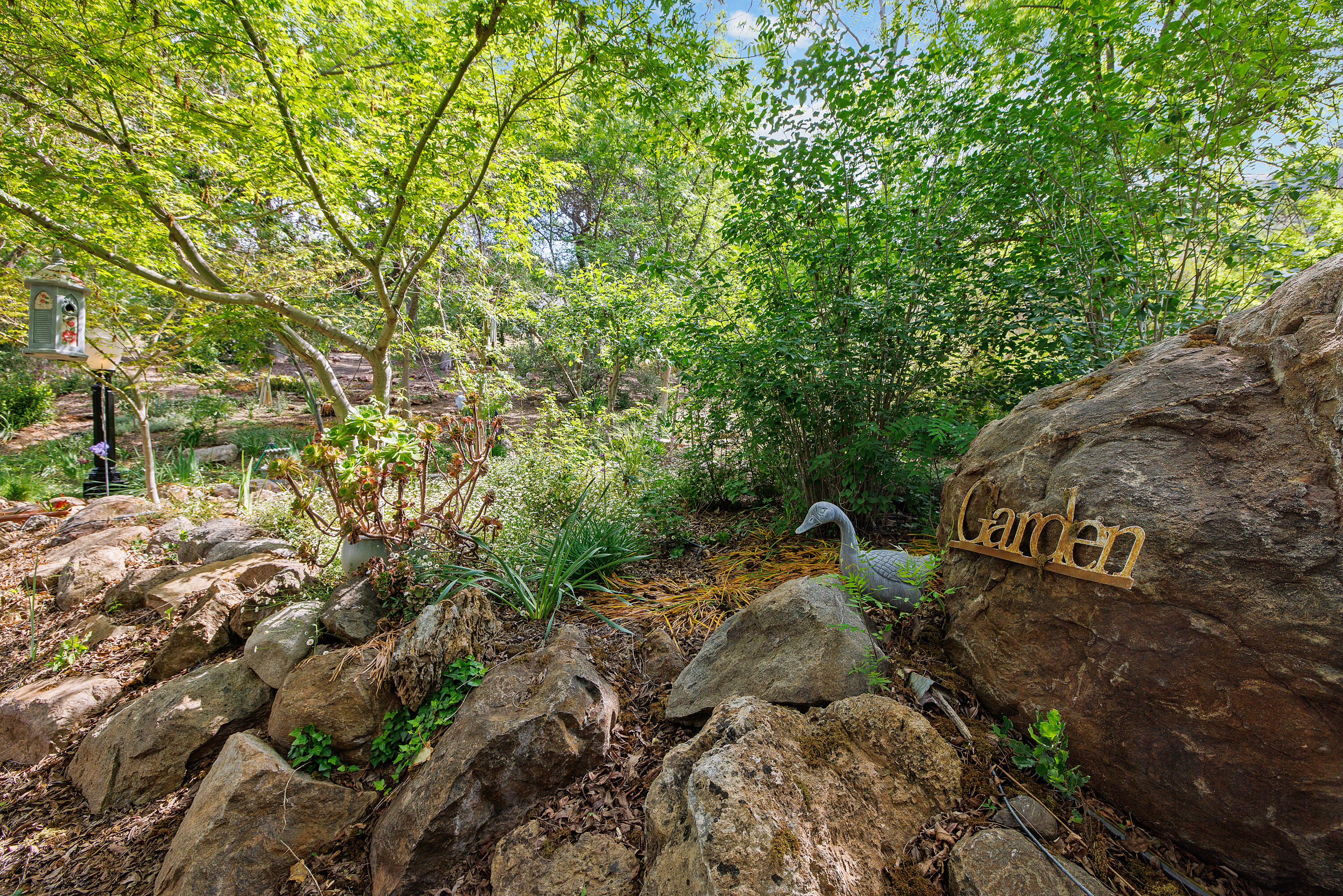 41926 Black Oak Drive