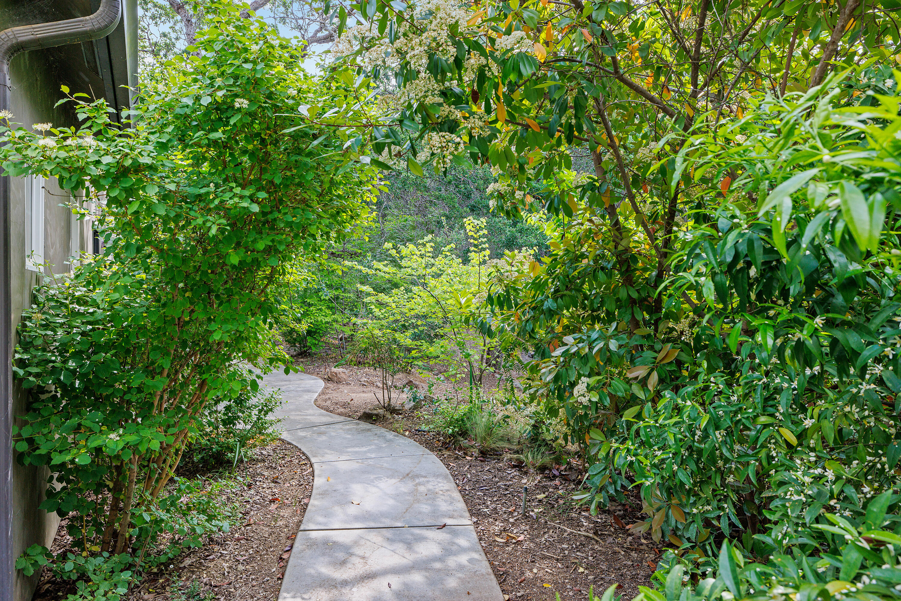 41926 Black Oak Drive