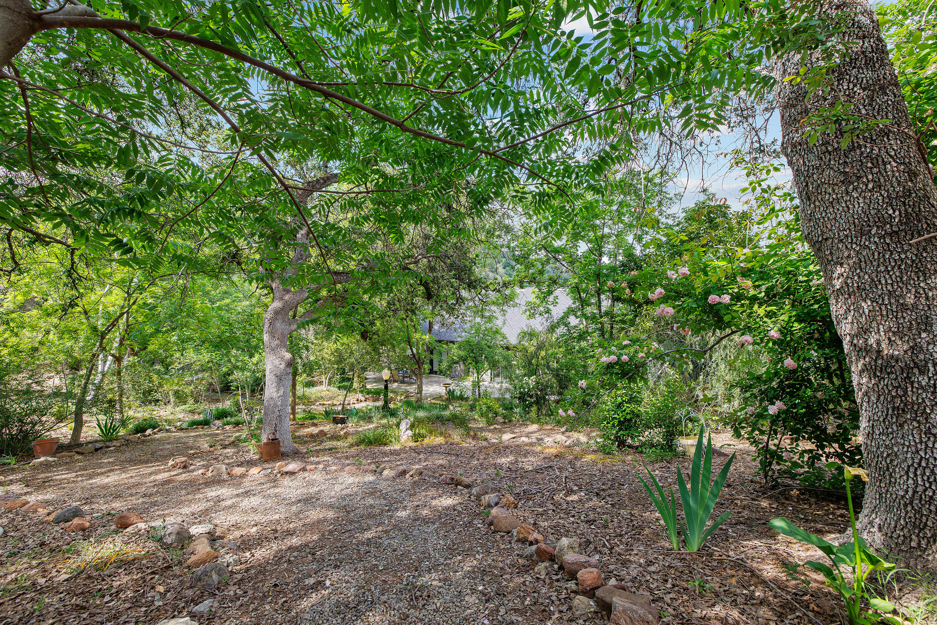 41926 Black Oak Drive