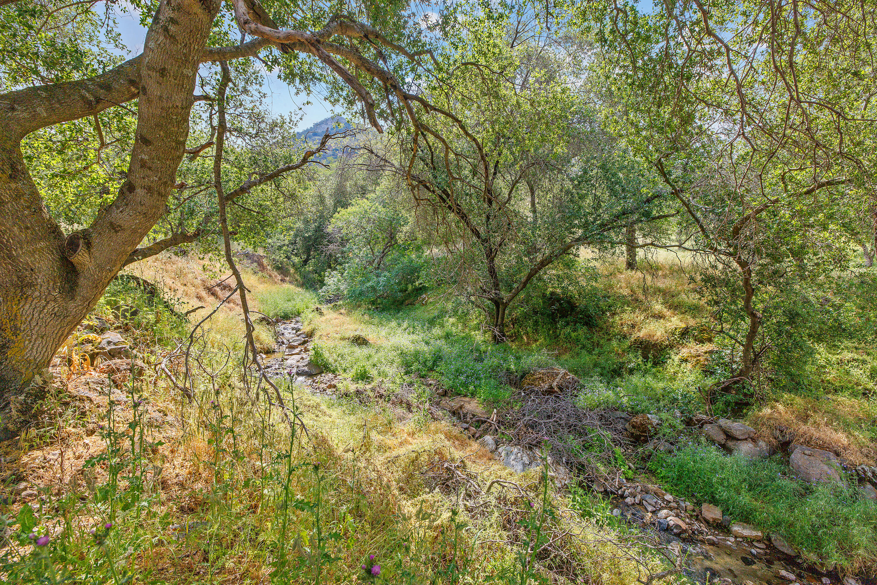 41926 Black Oak Drive