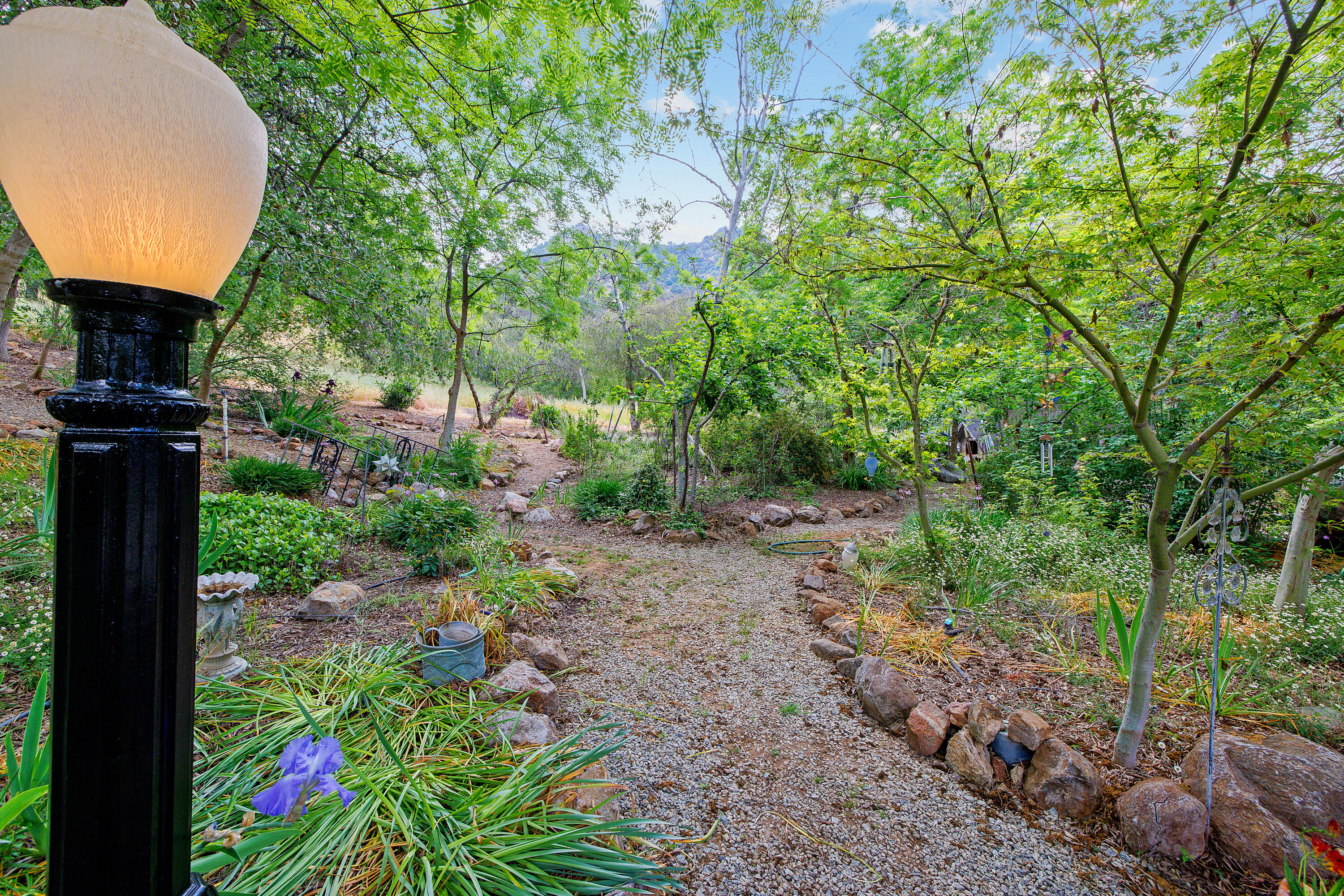 41926 Black Oak Drive