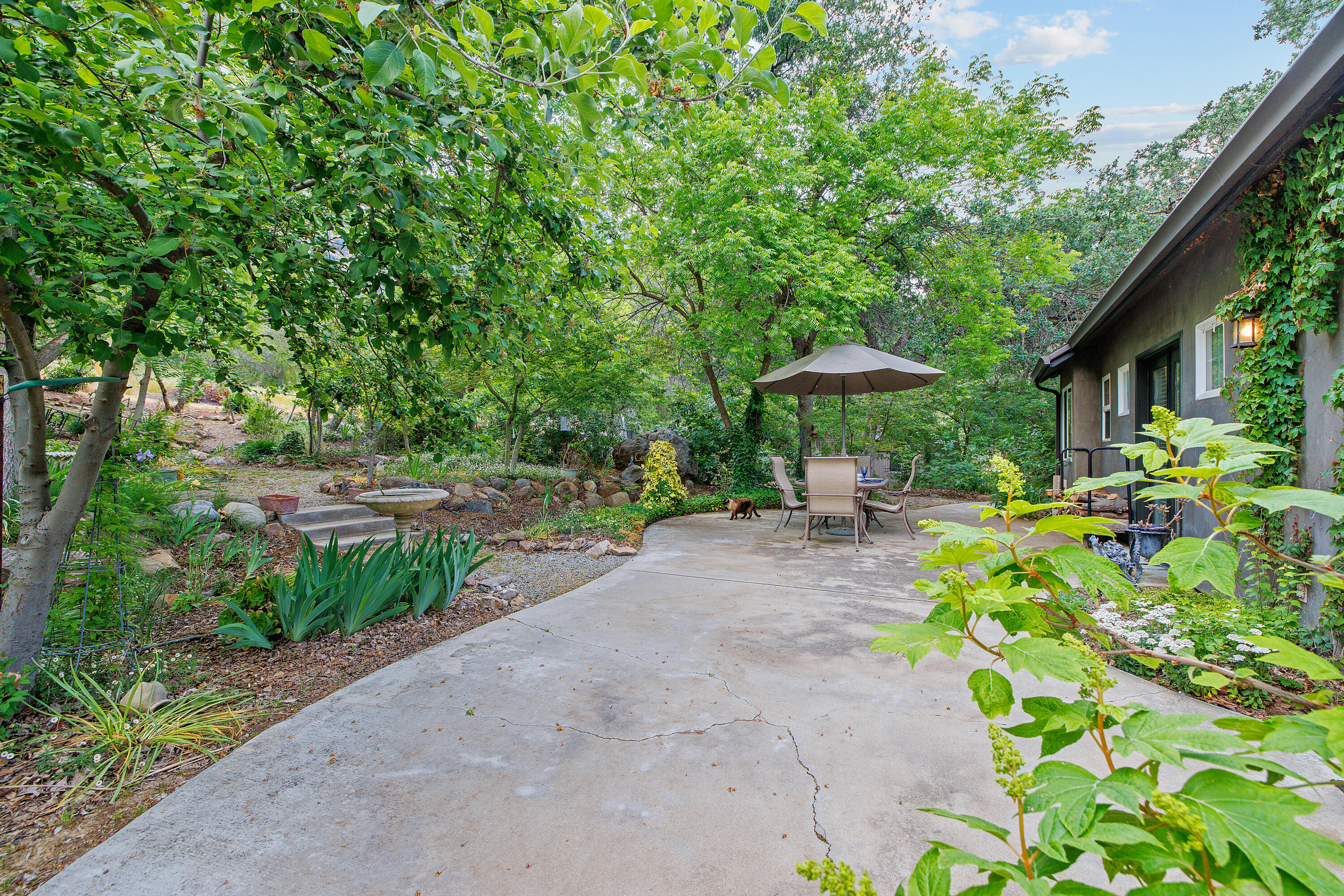 41926 Black Oak Drive