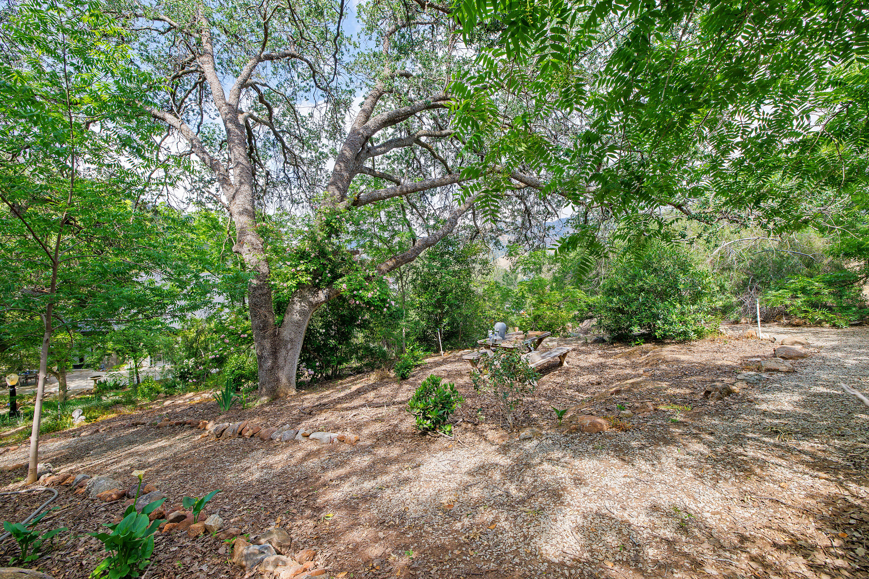 41926 Black Oak Drive