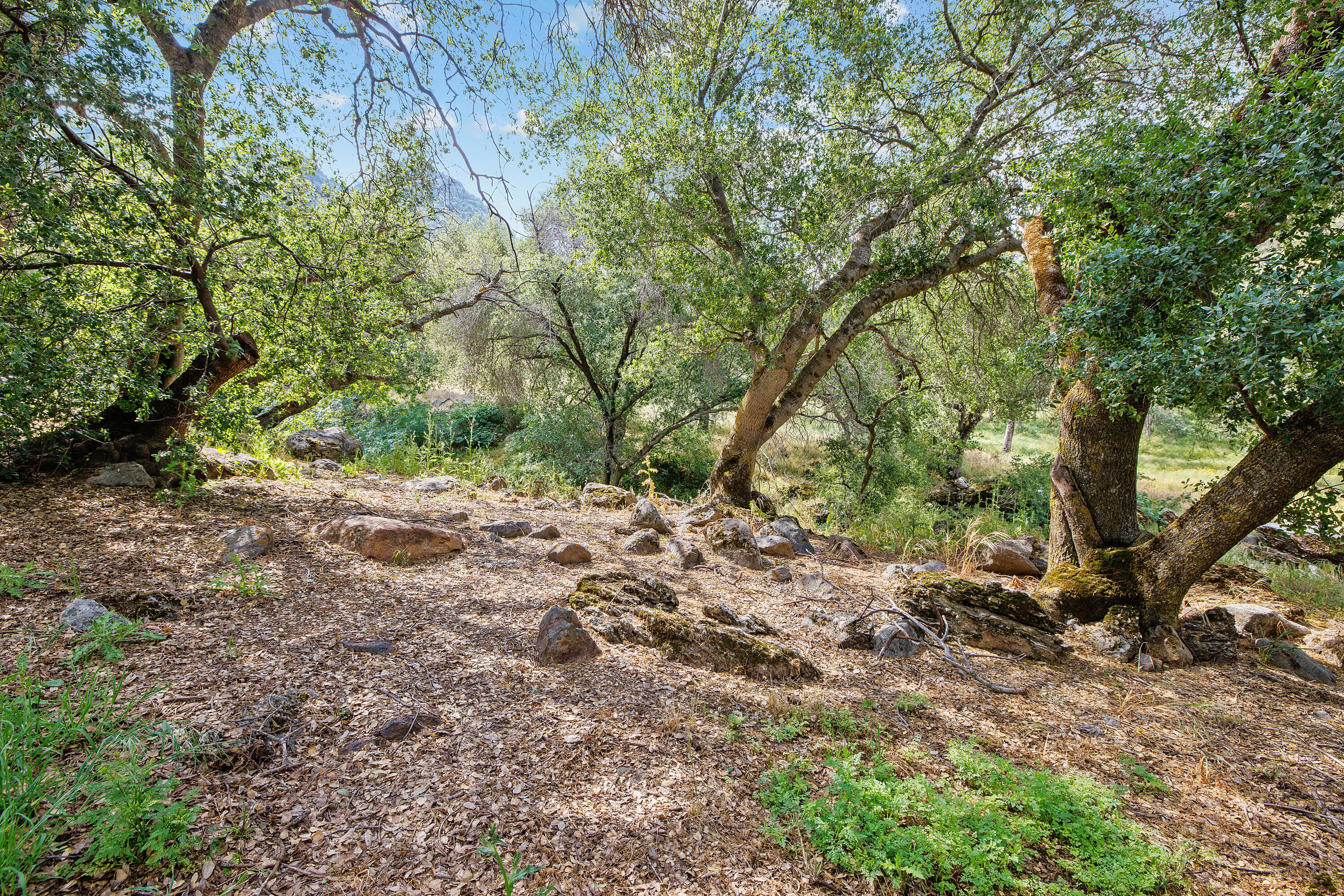 41926 Black Oak Drive