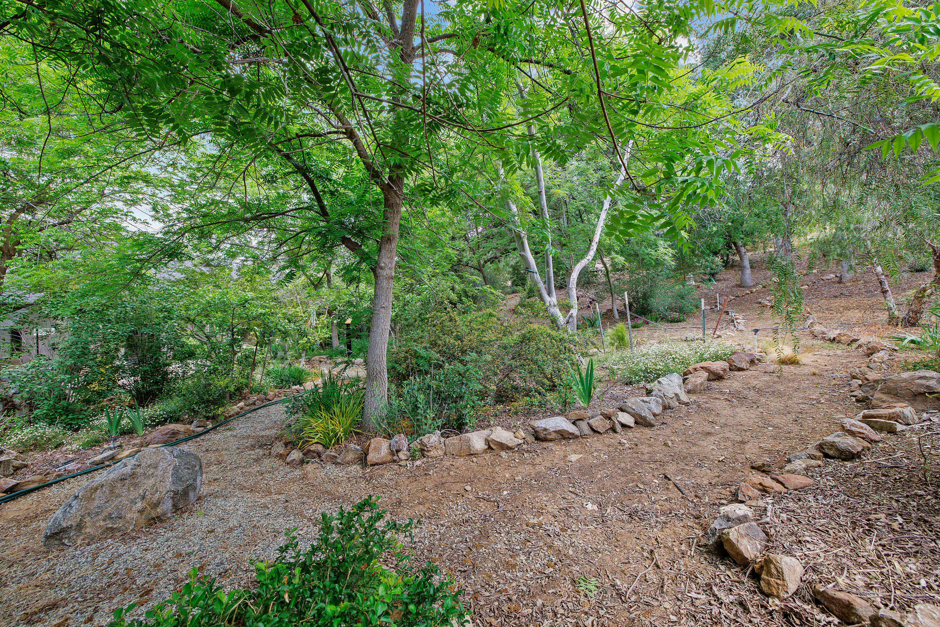 41926 Black Oak Drive