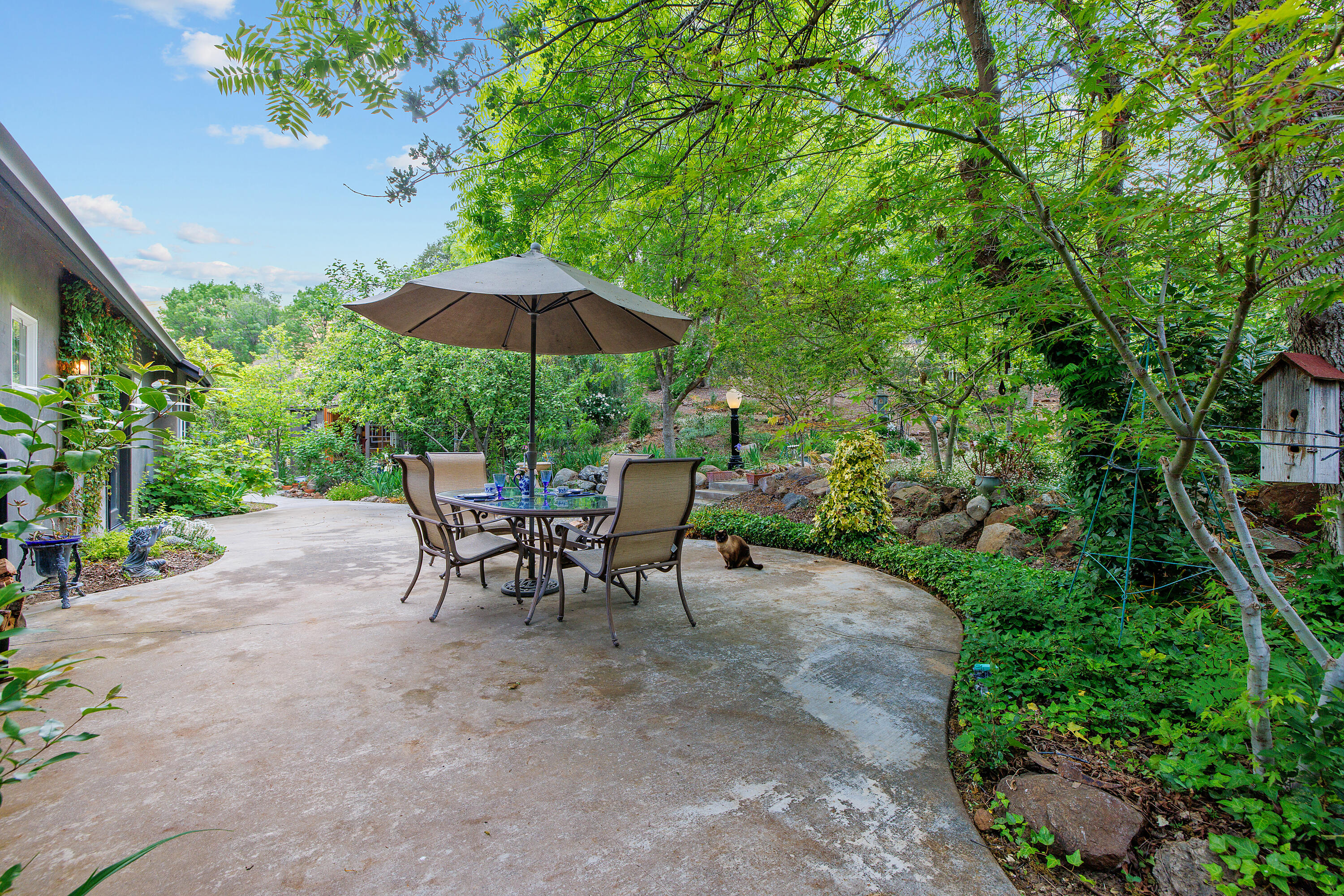 41926 Black Oak Drive