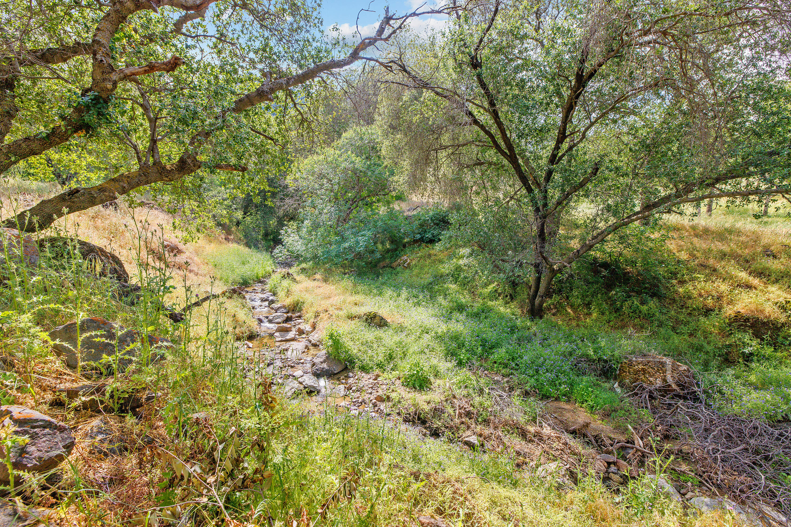 41926 Black Oak Drive