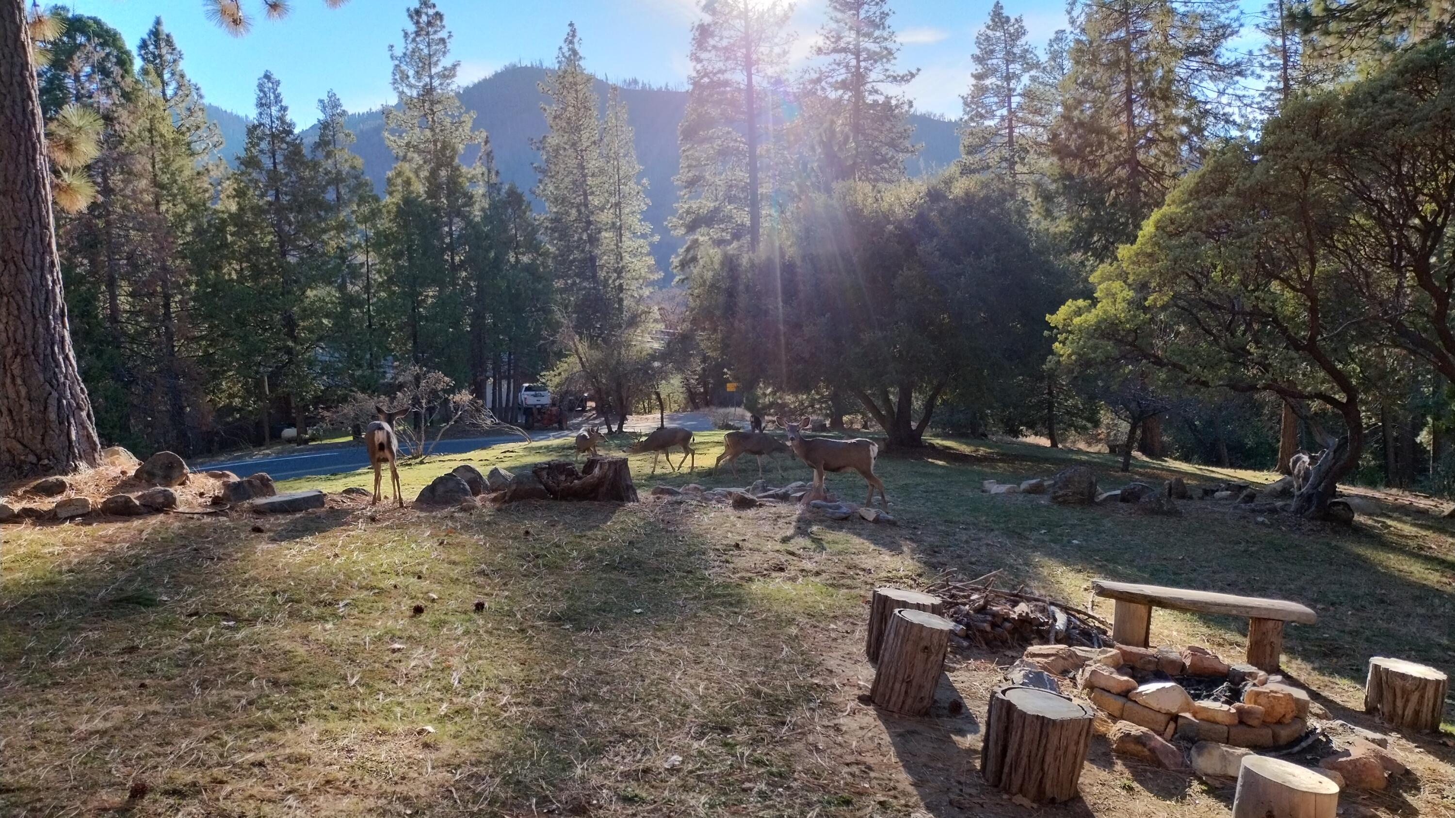 1184 Highway 190