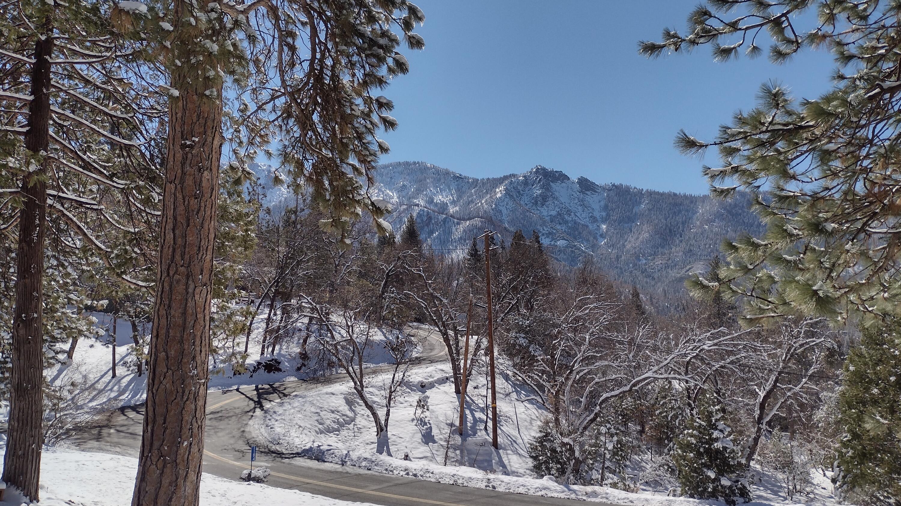 1184 Highway 190