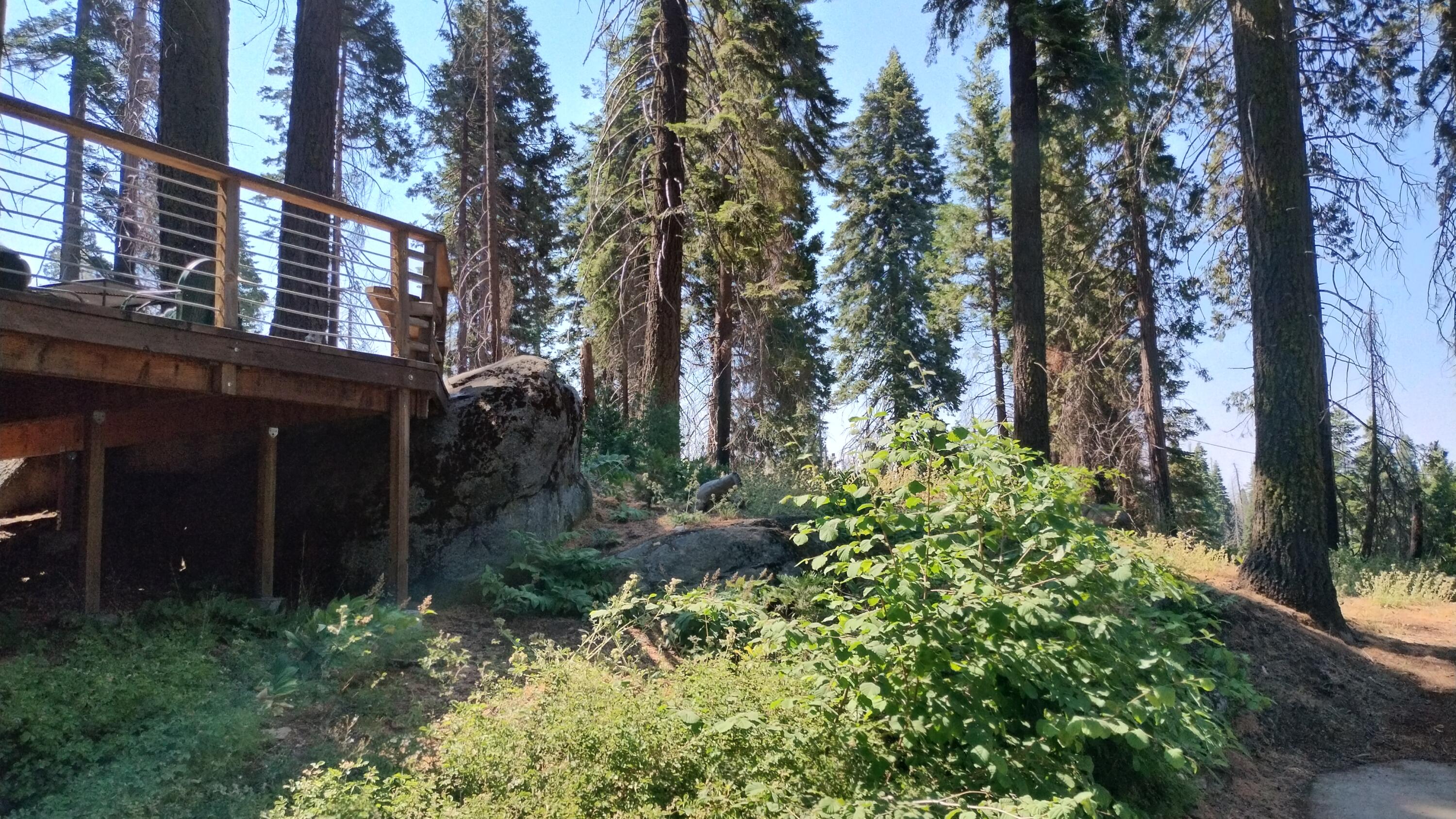54677 Alder Drive