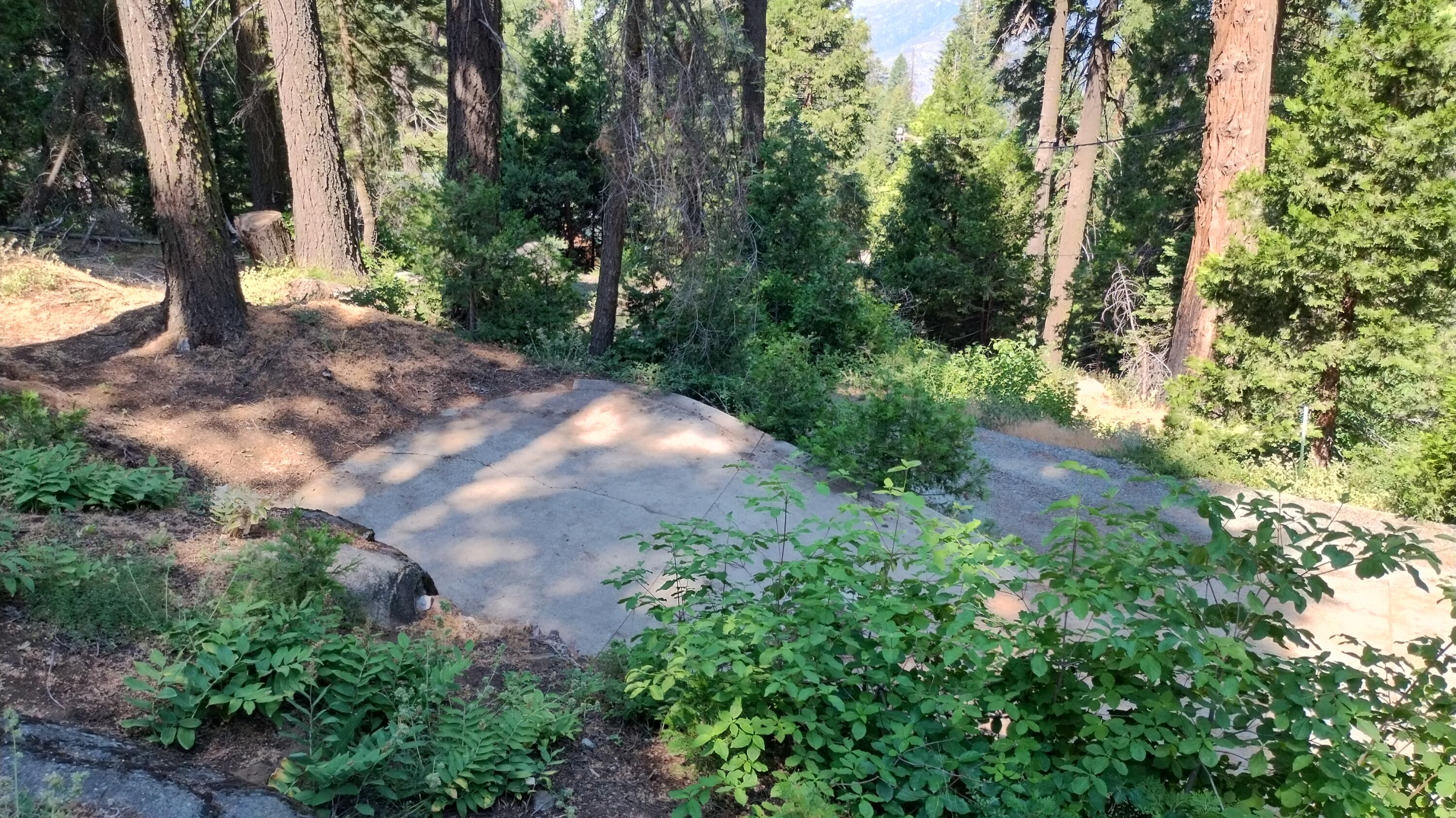 54677 Alder Drive