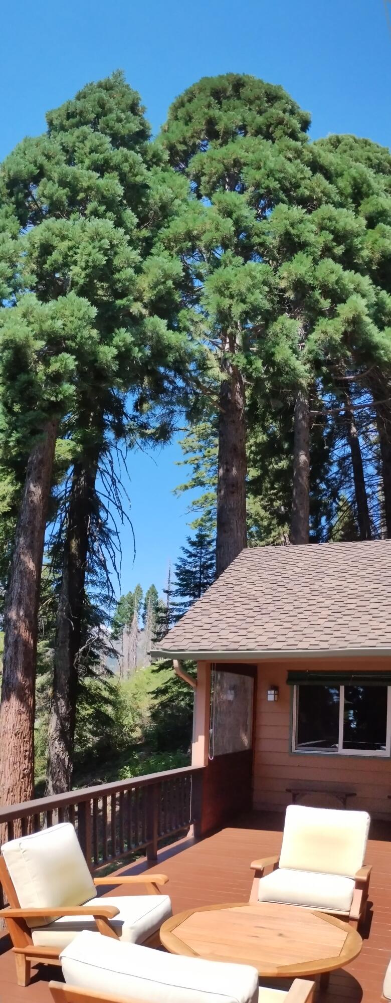 54888 Chinquapin Drive