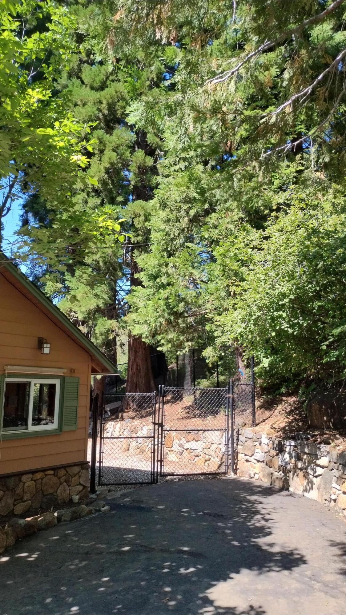 54888 Chinquapin Drive