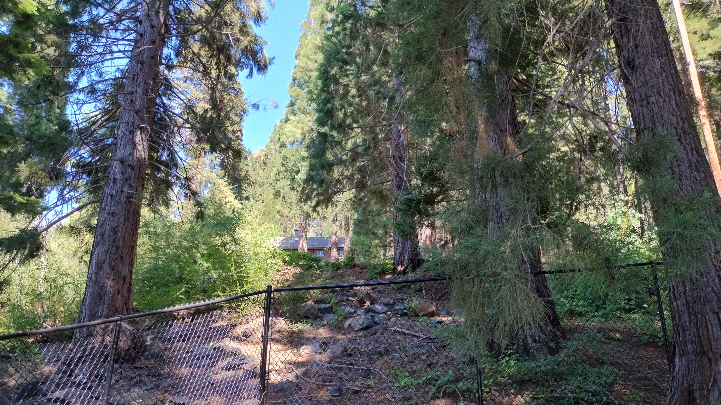 54888 Chinquapin Drive