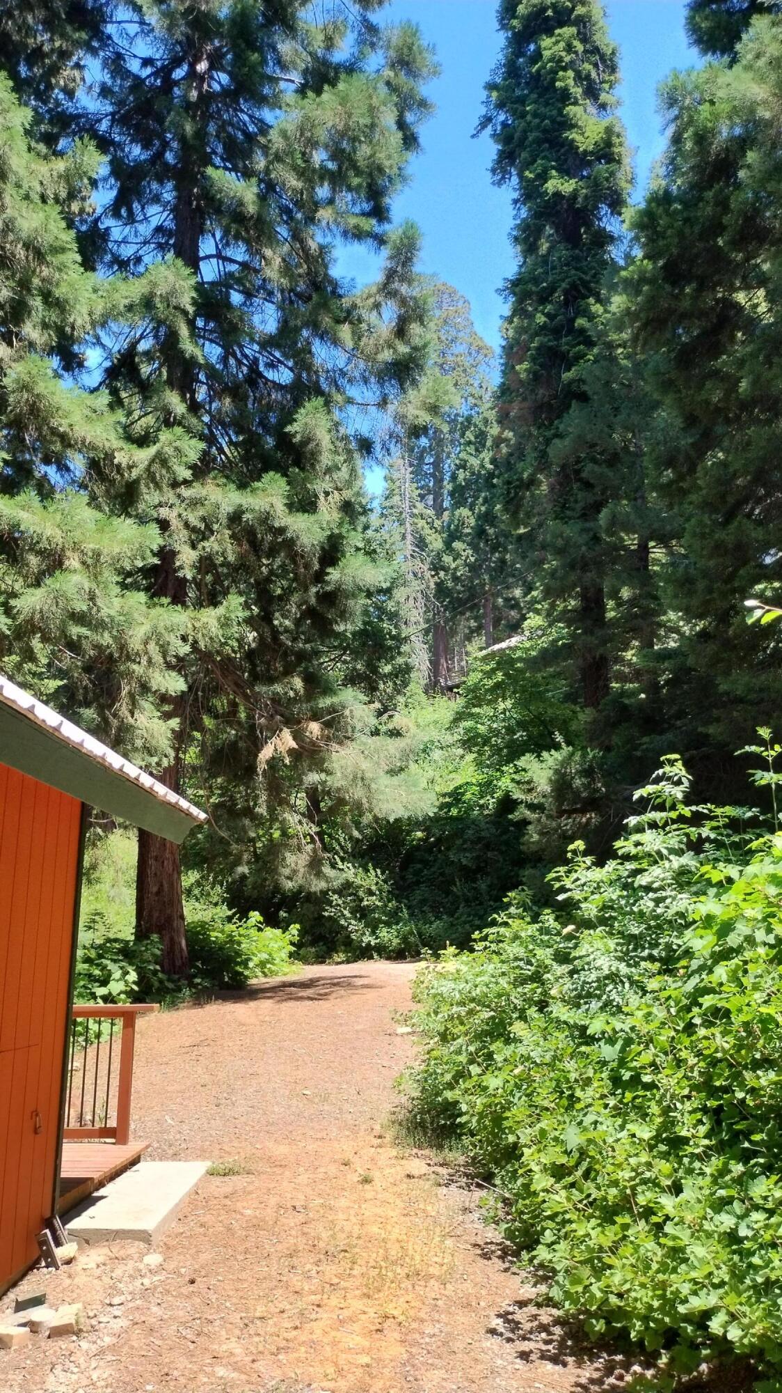 54814 Ponderosa Drive