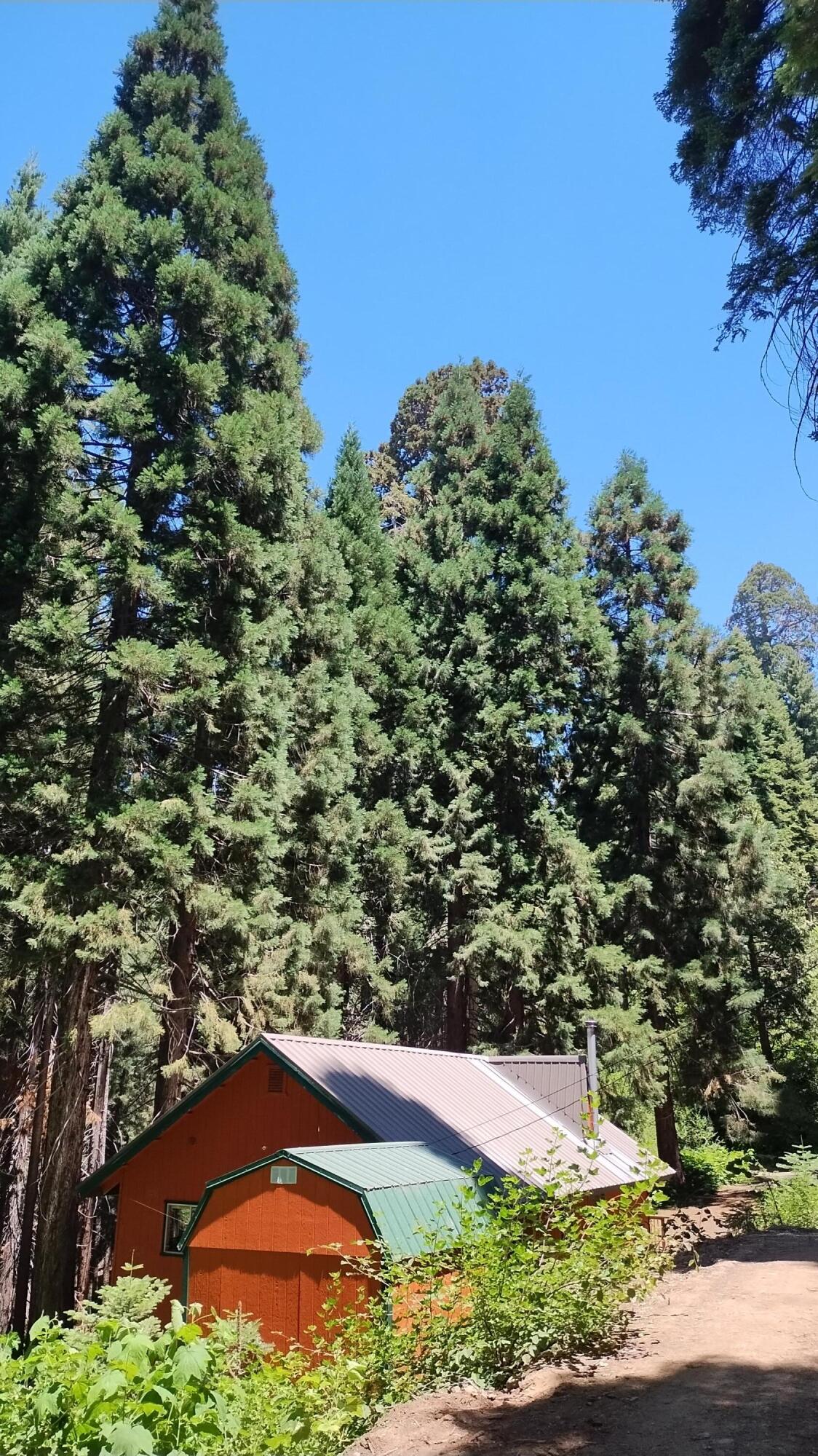 54814 Ponderosa Drive