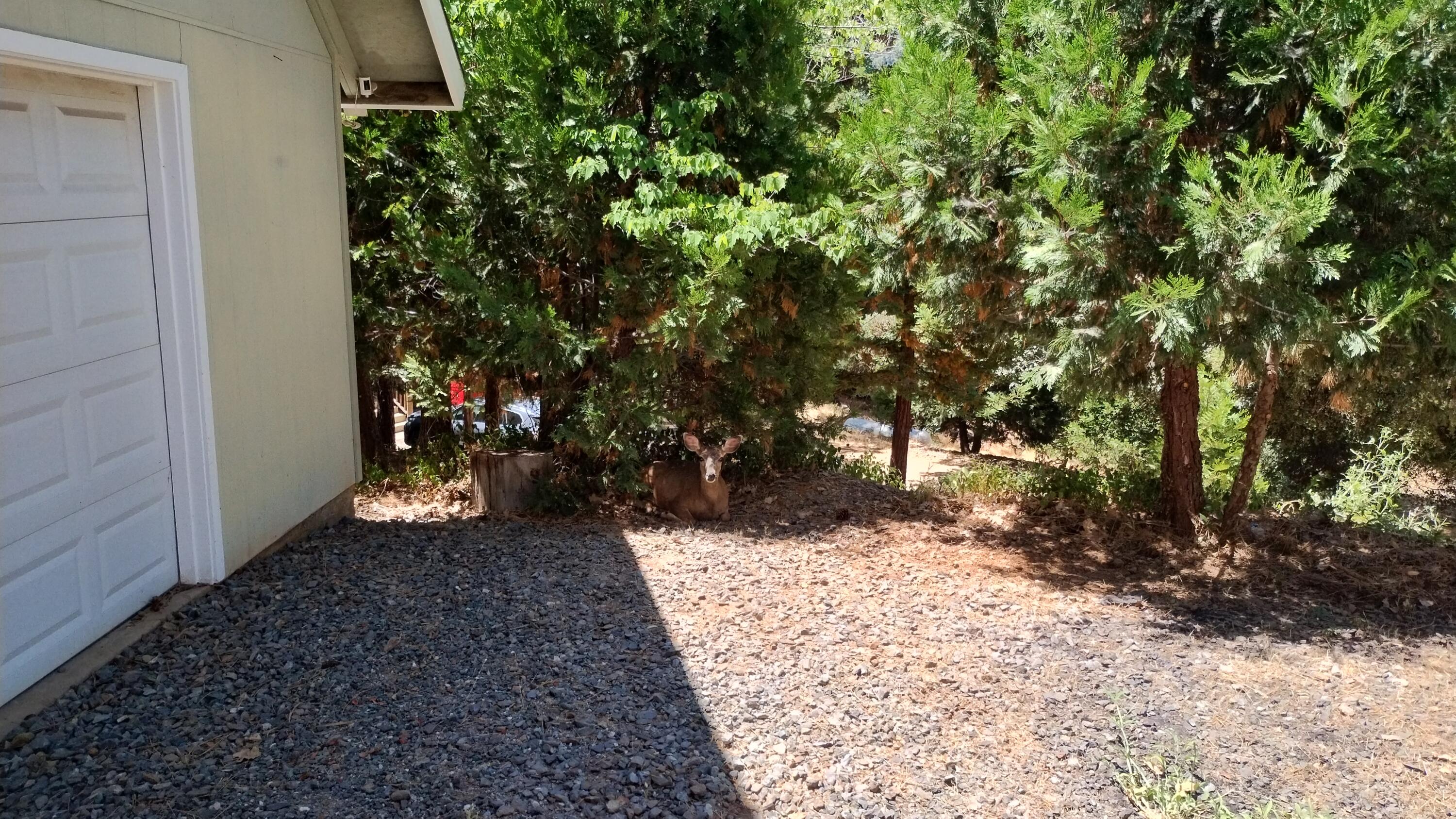 1309 Wy Court