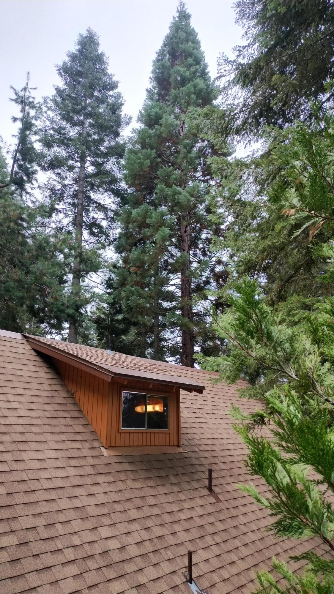 54868 Chinquapin Drive