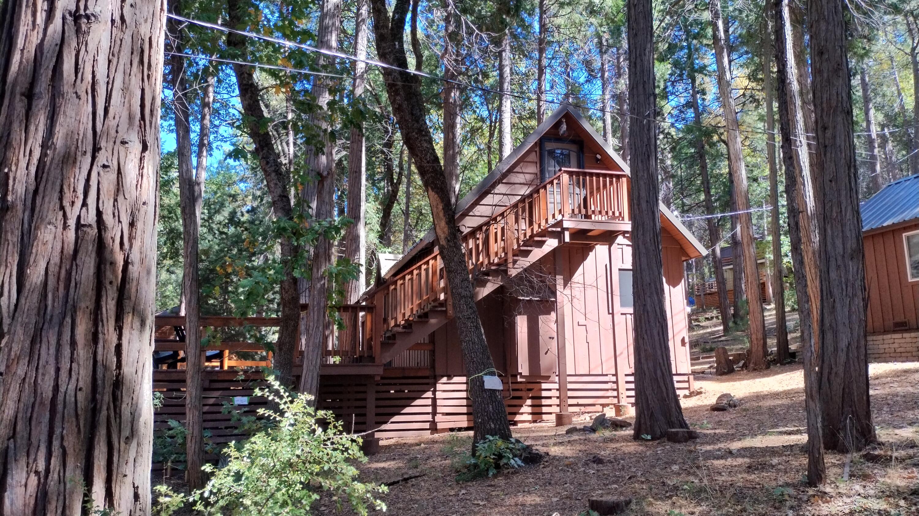1803 John Gerney Drive