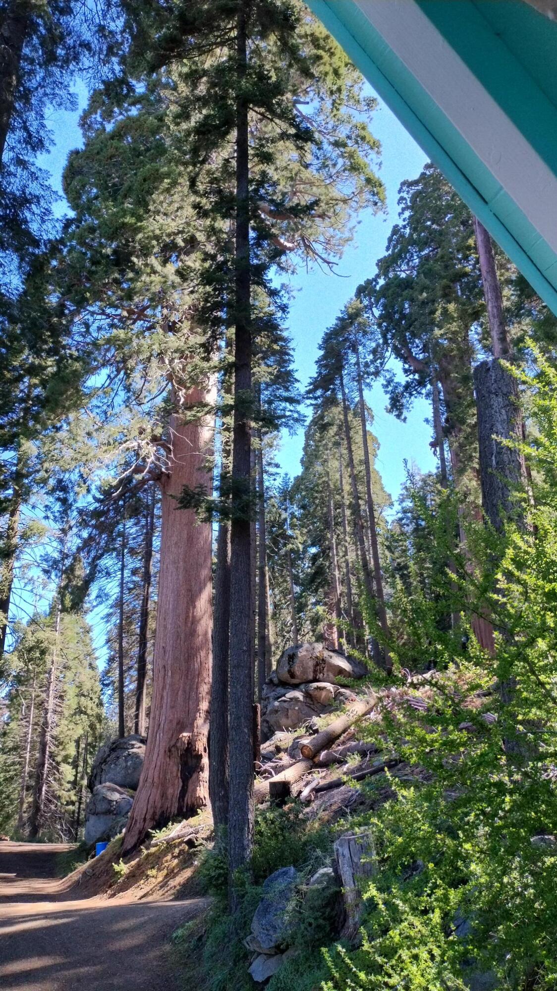 54622 Manzanita Drive