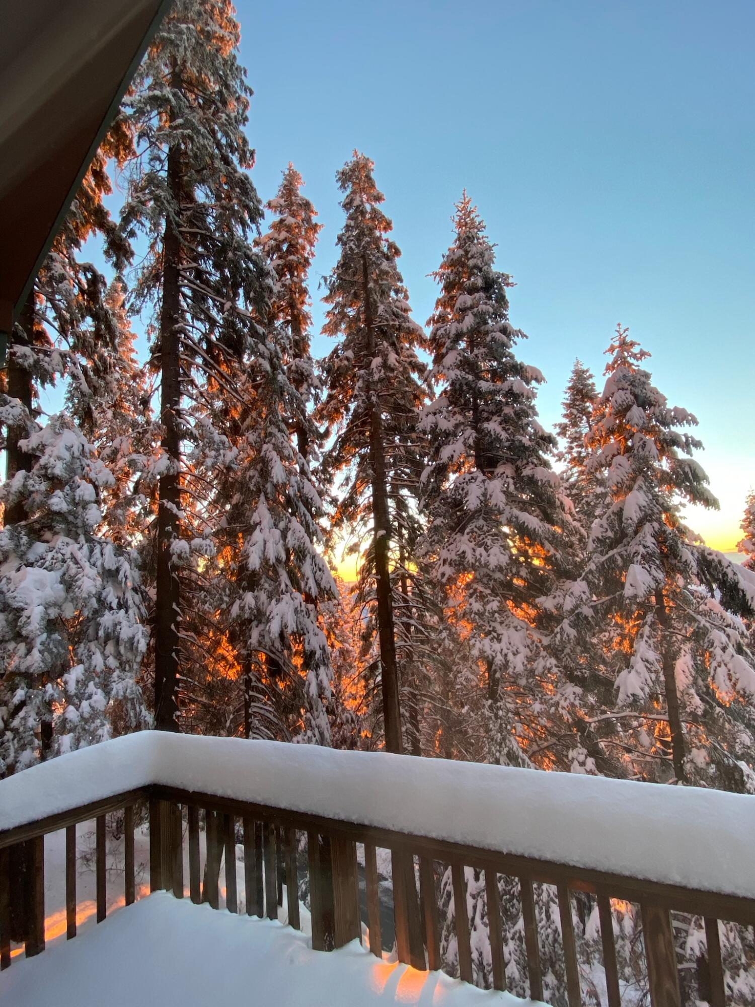 54622 Manzanita Drive