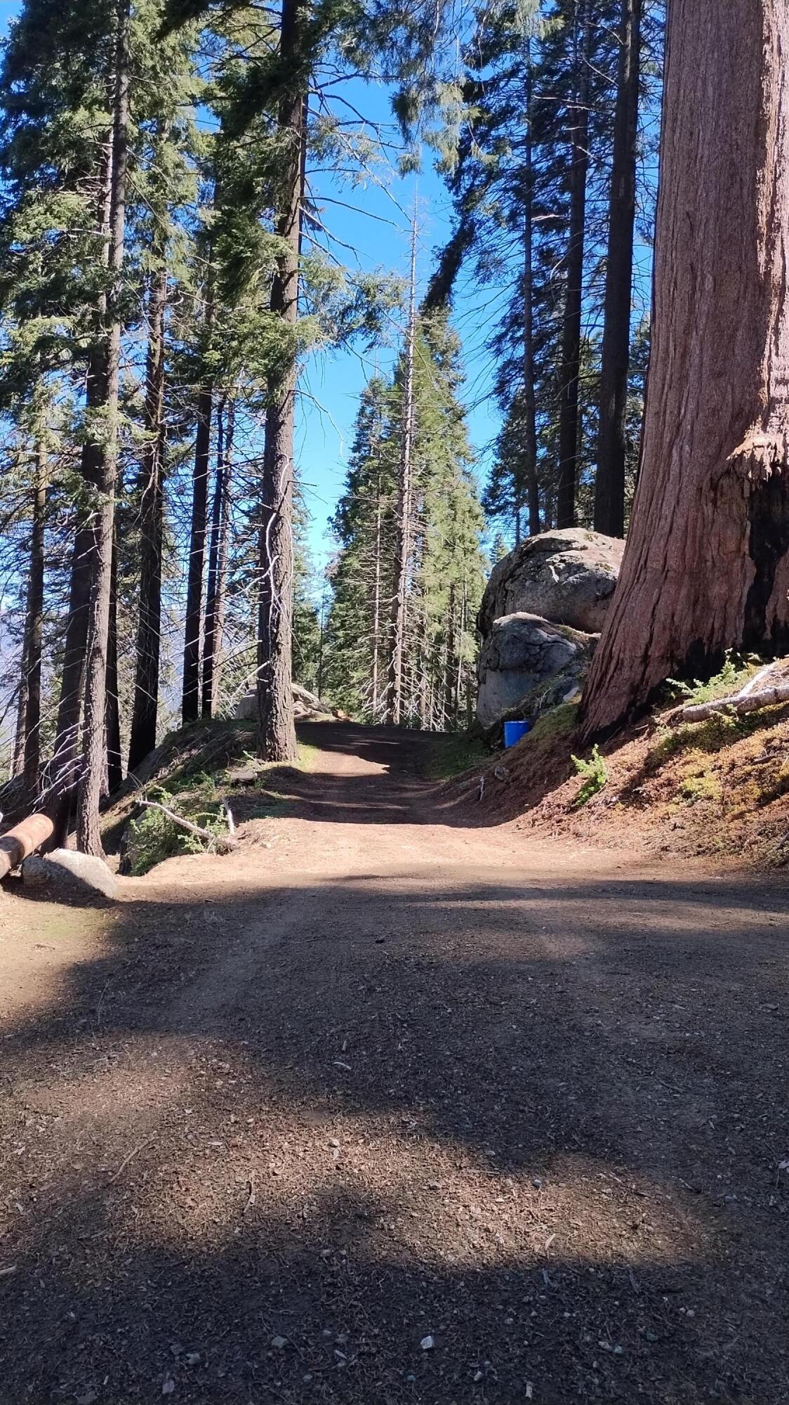 54622 Manzanita Drive