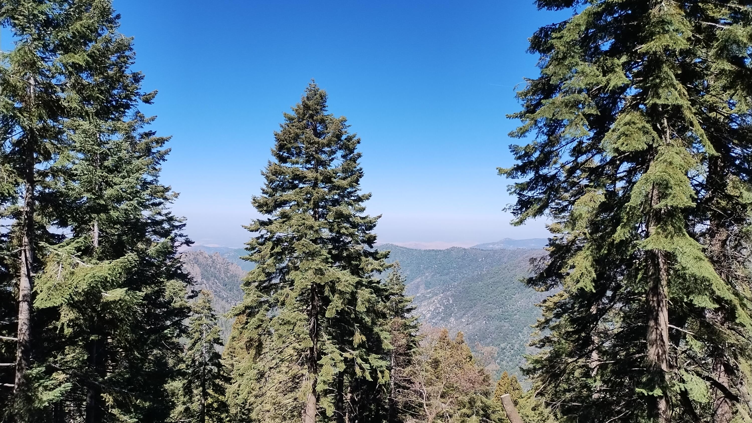 54622 Manzanita Drive