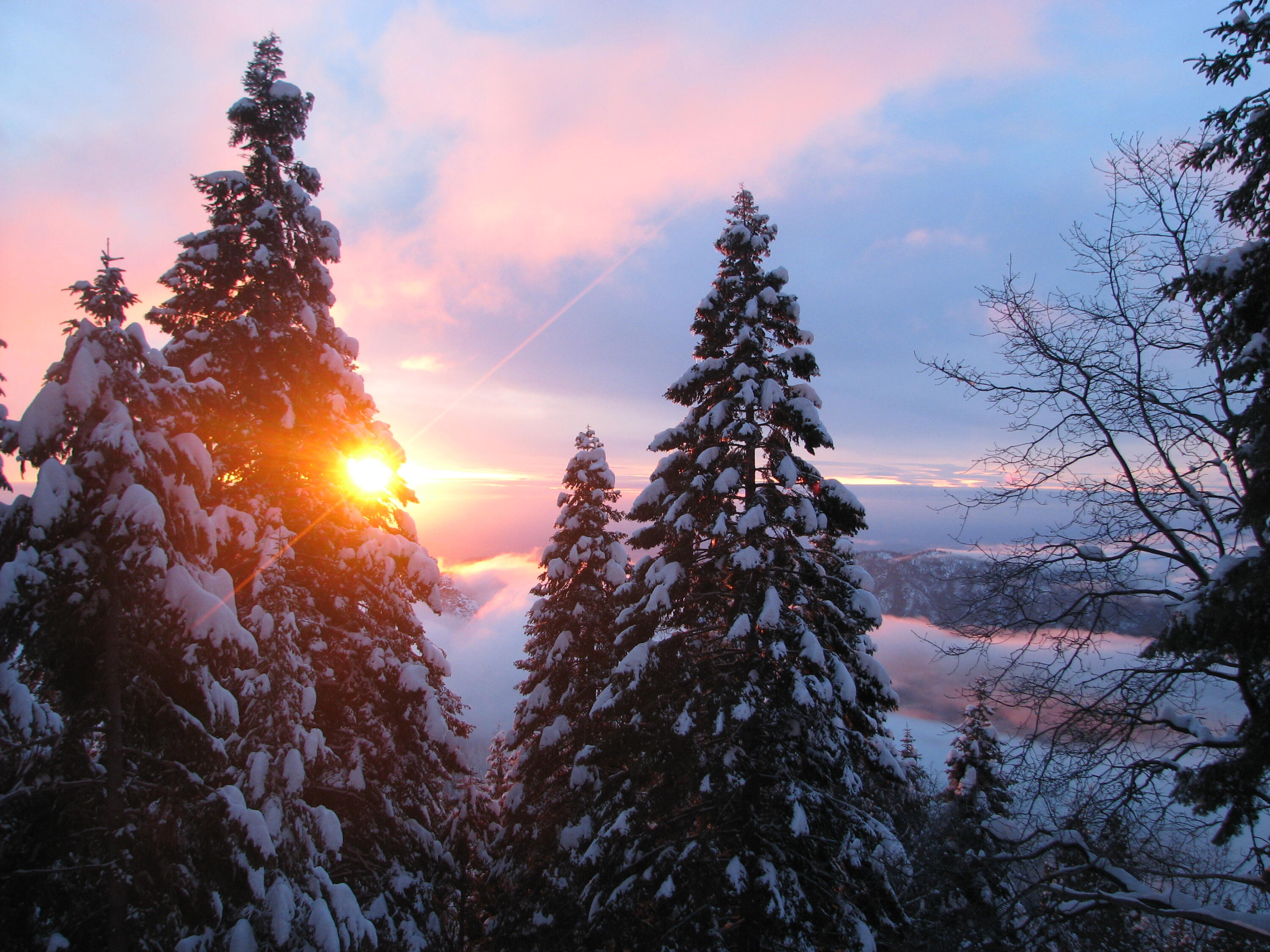 54622 Manzanita Drive