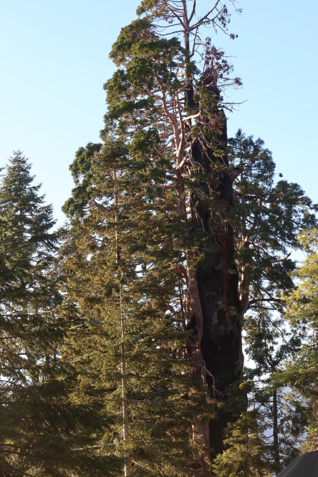 54622 Manzanita Drive