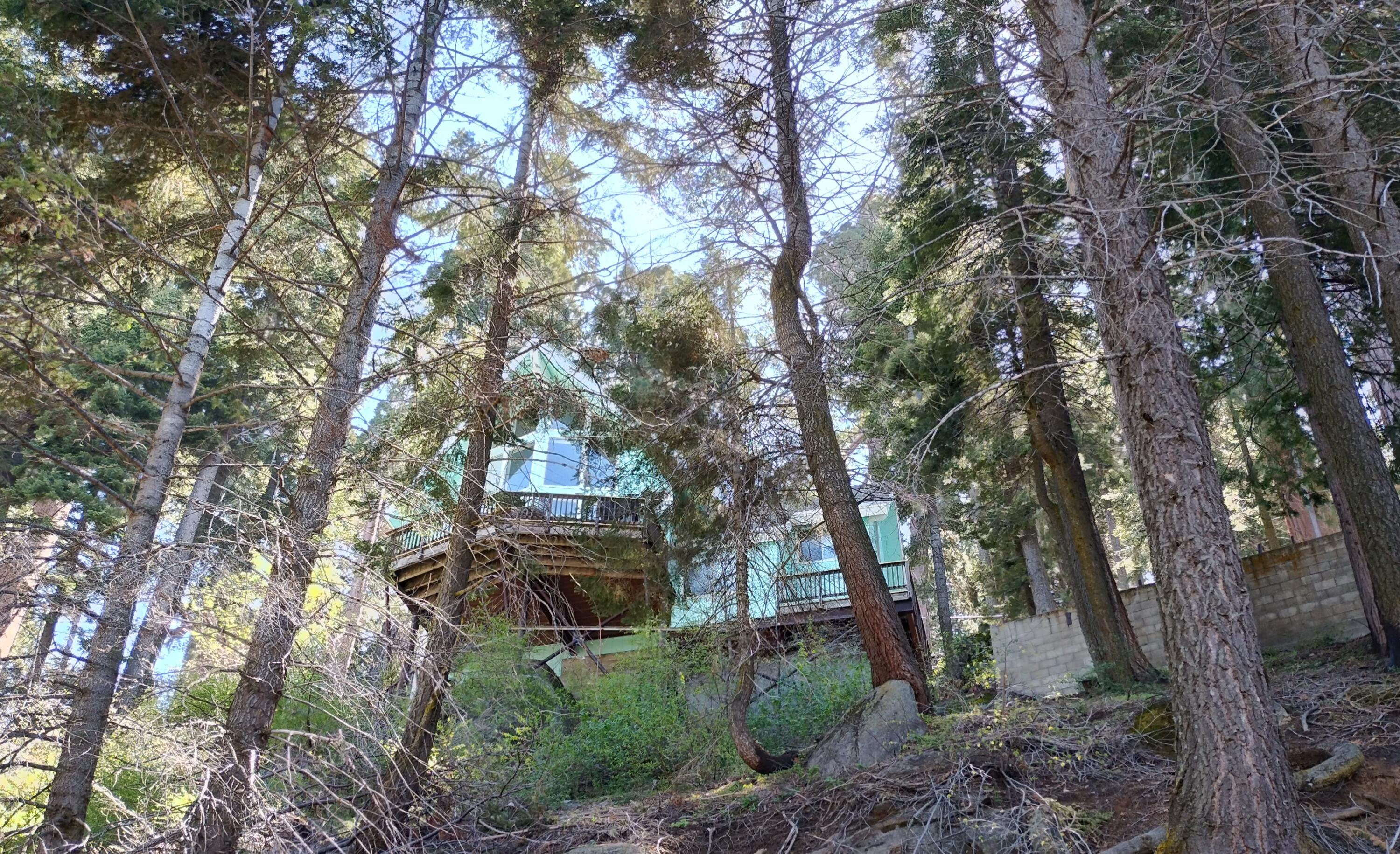 54622 Manzanita Drive