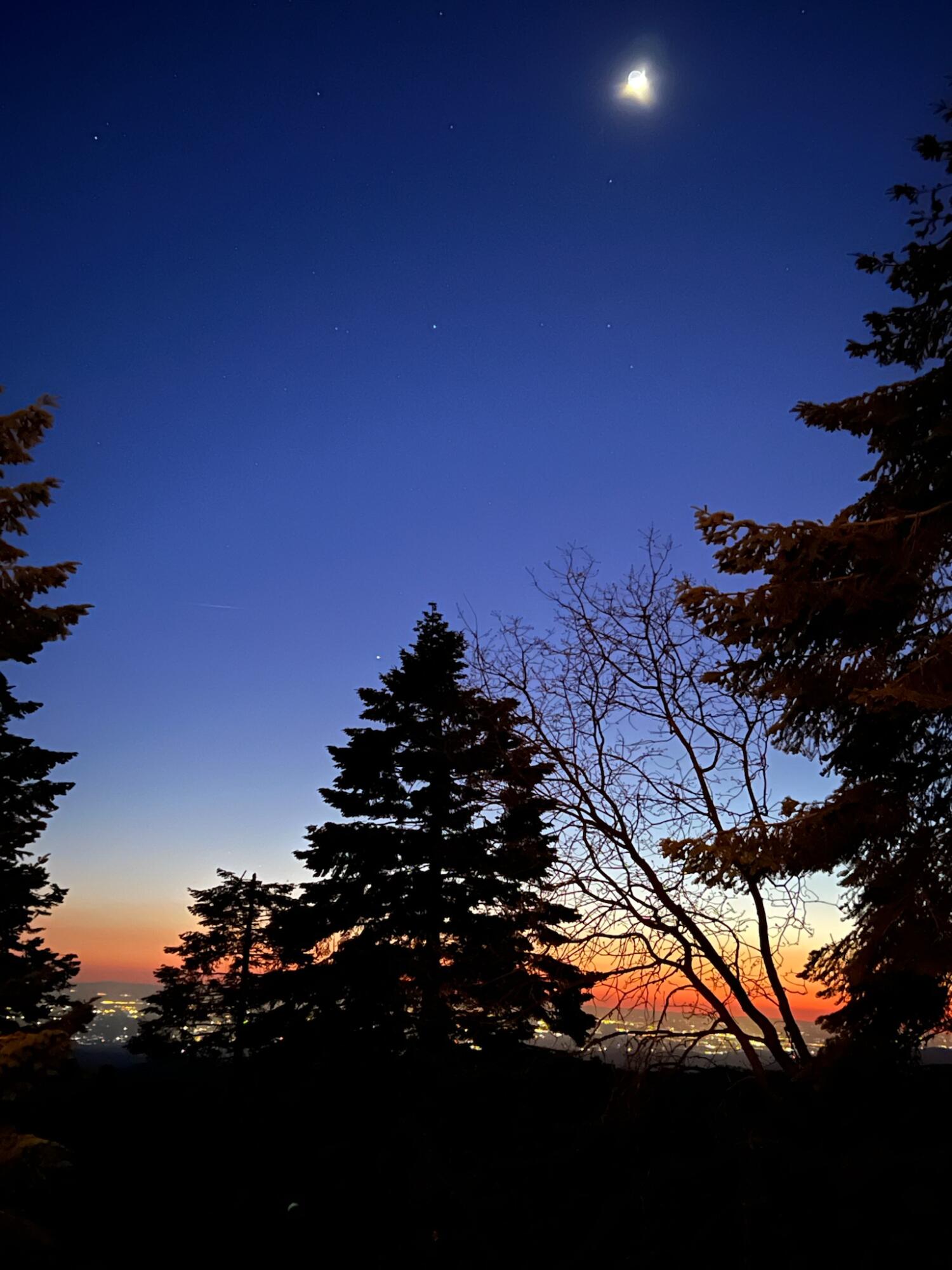 54622 Manzanita Drive