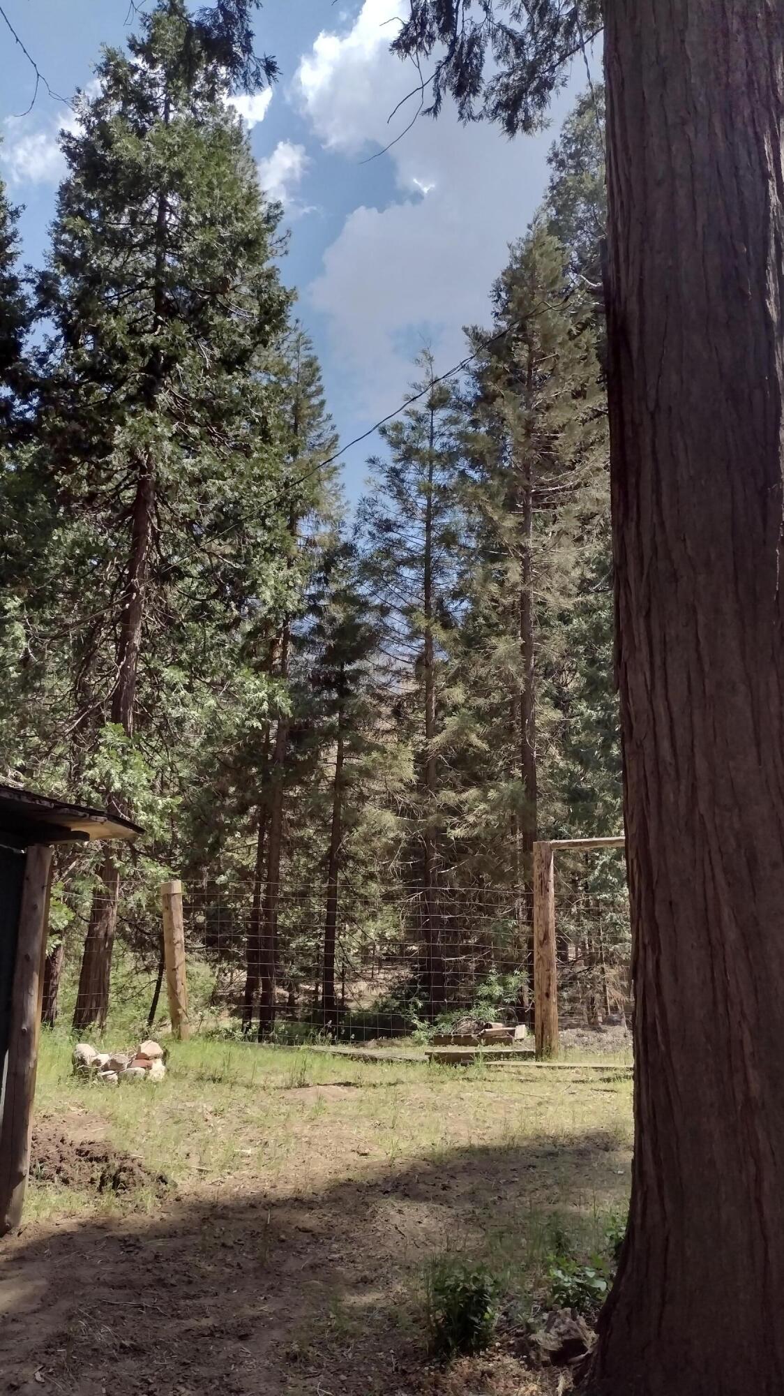 440 Trails End Drive