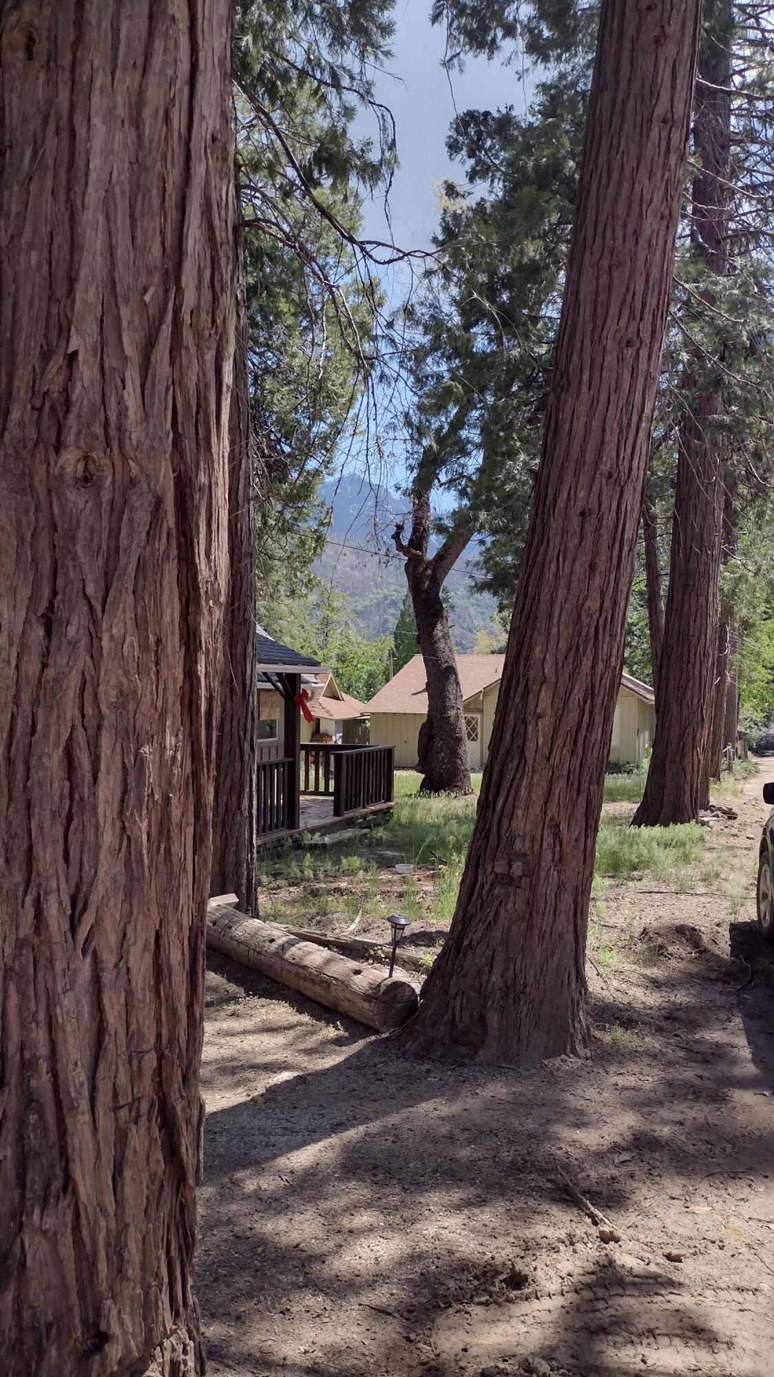 440 Trails End Drive