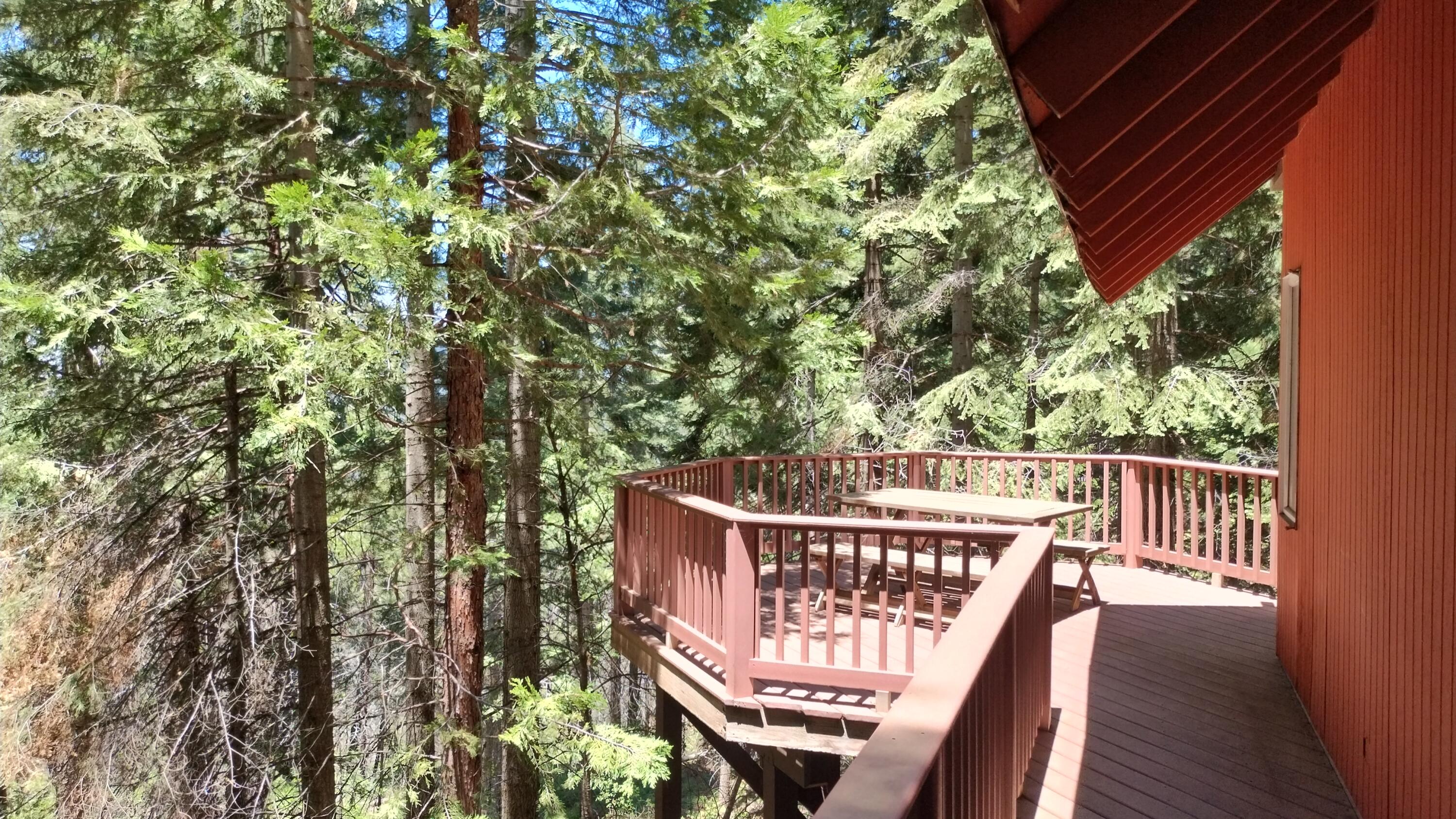 54706 Cedar Drive