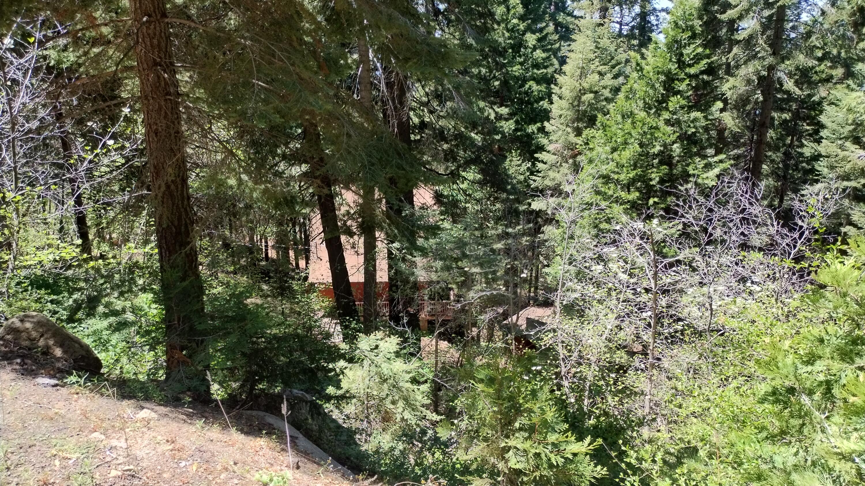 54706 Cedar Drive