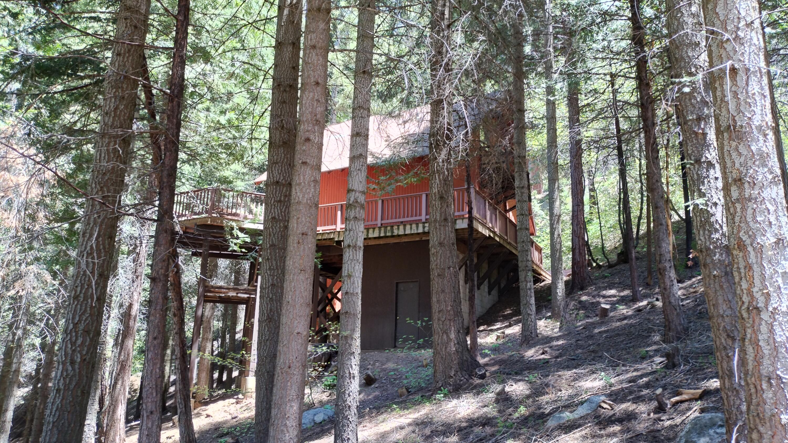 54706 Cedar Drive