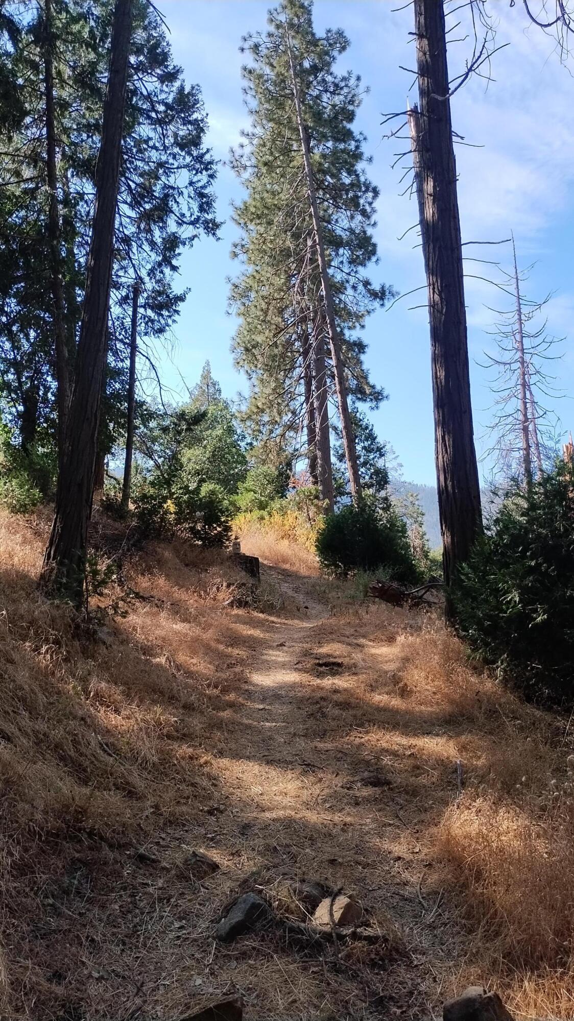 00 Mariposa Drive