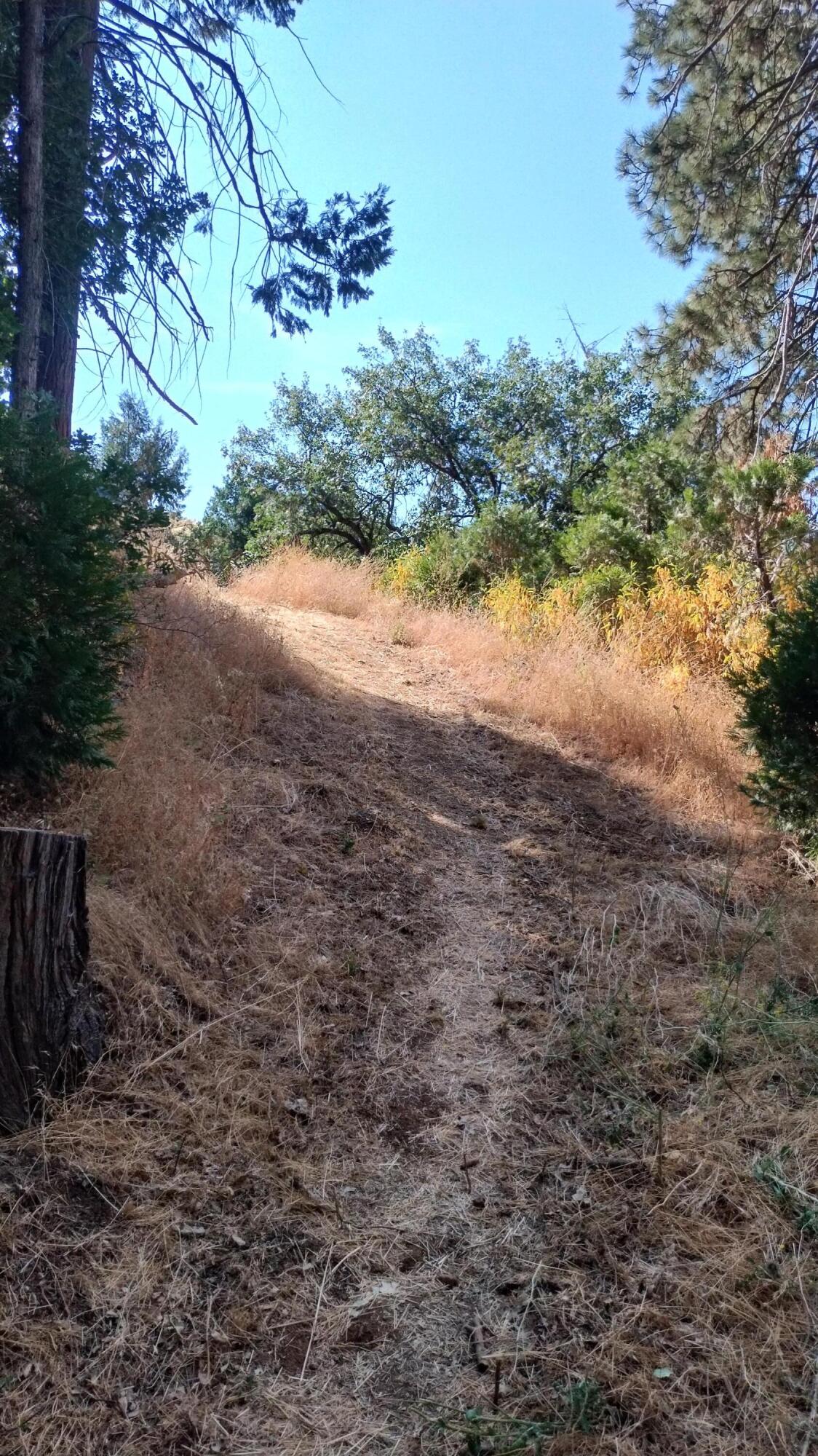 00 Mariposa Drive
