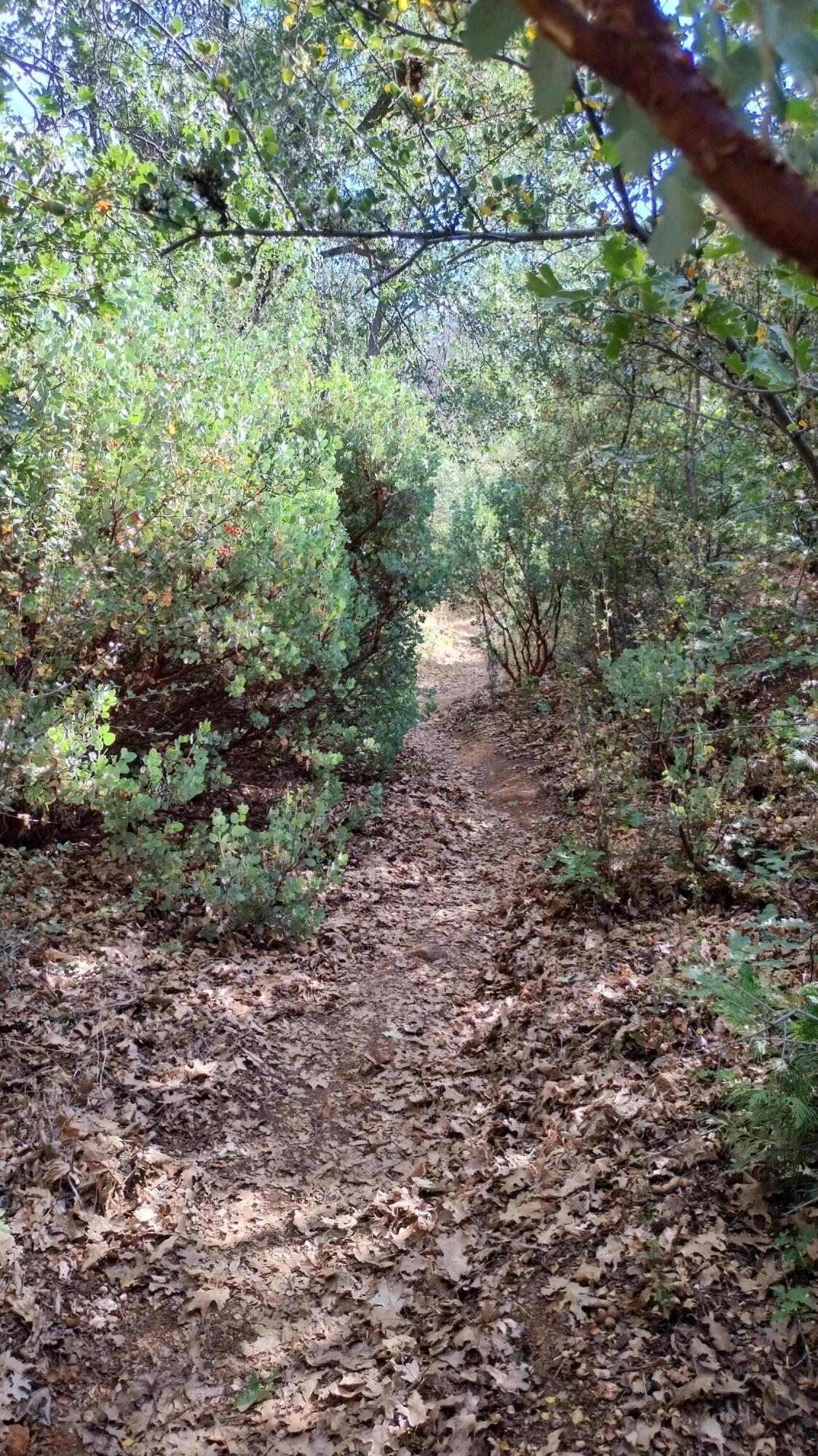 00 Mariposa Drive
