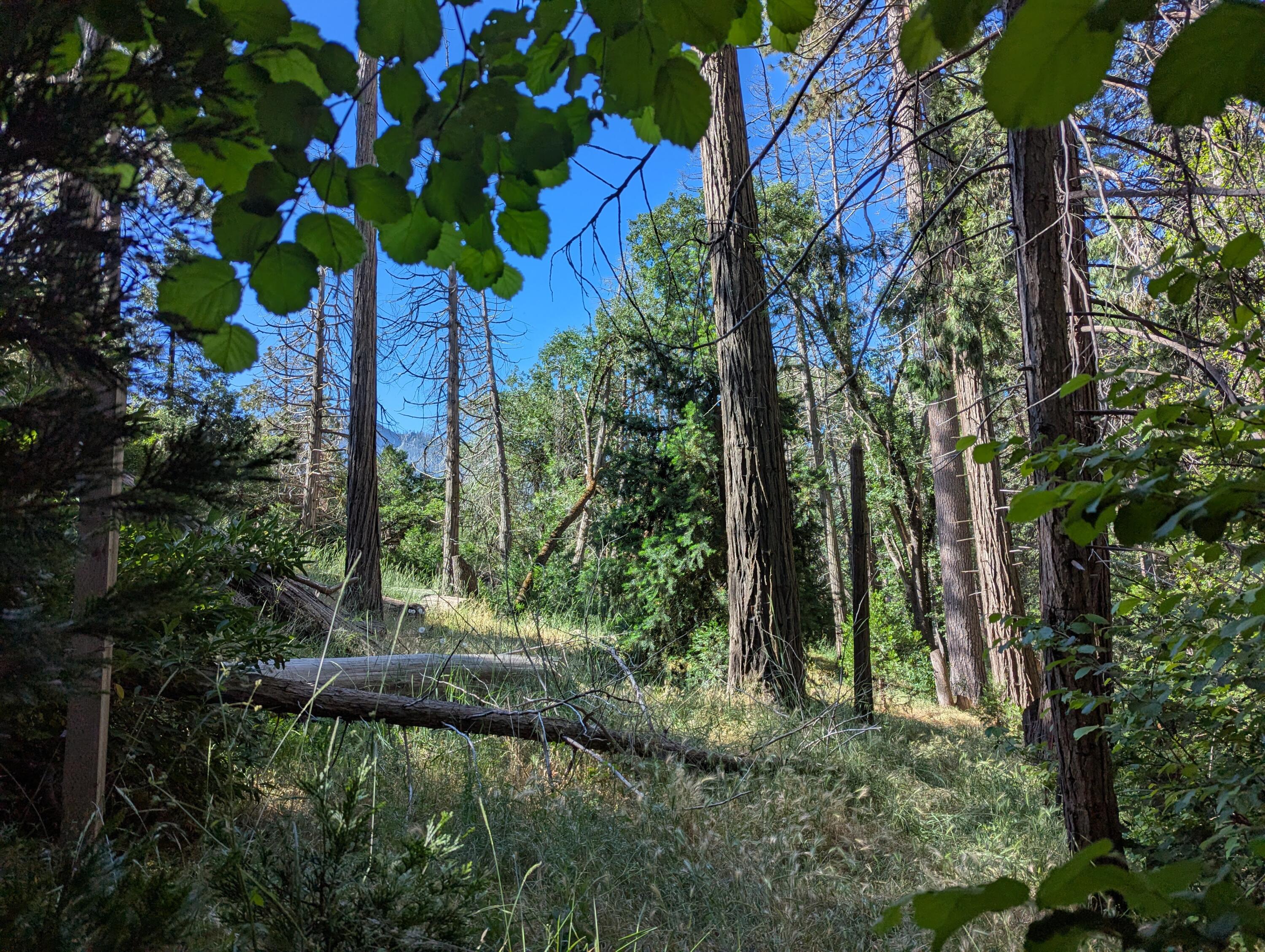 00 Mariposa Drive