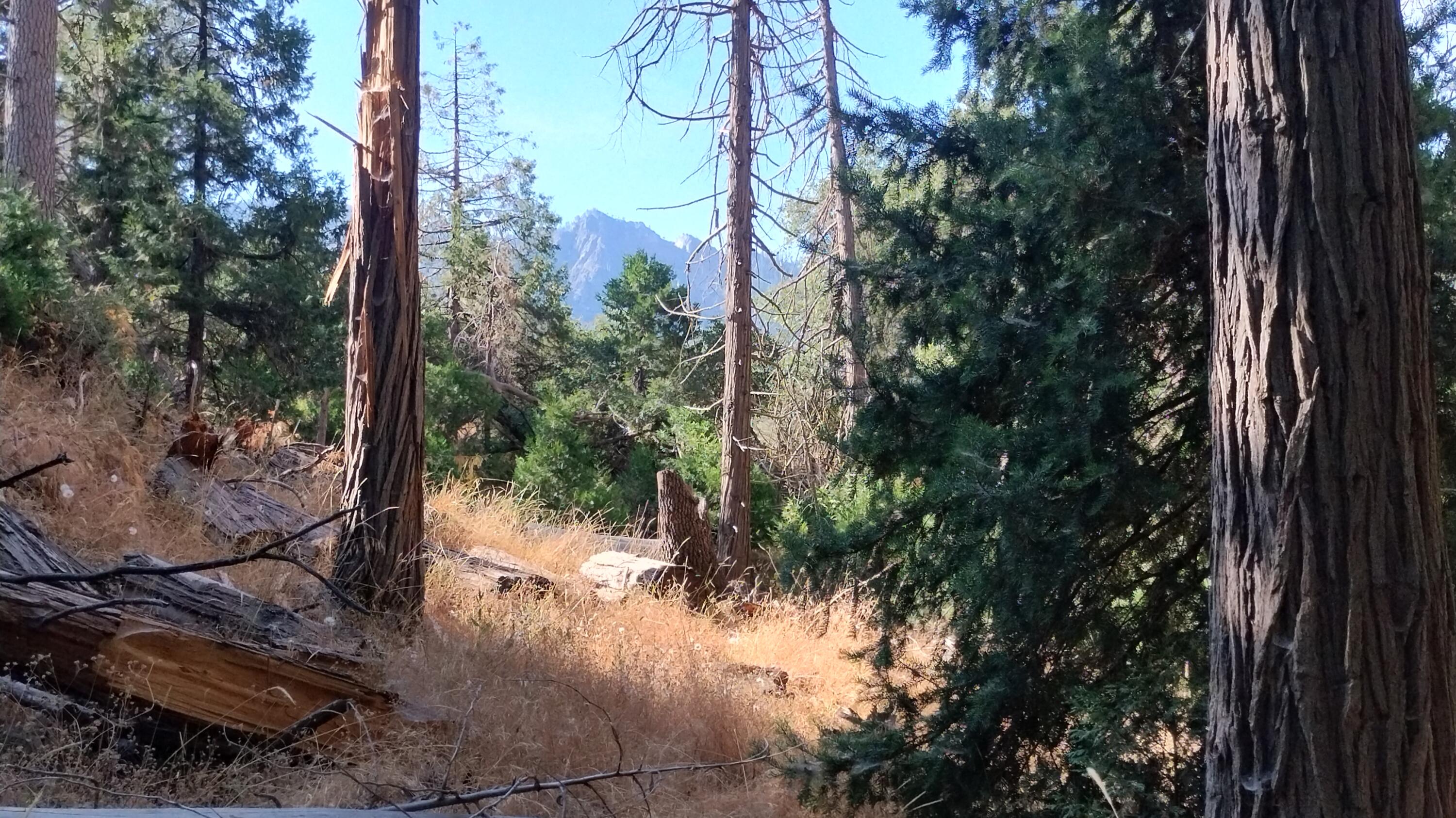 00 Mariposa Drive
