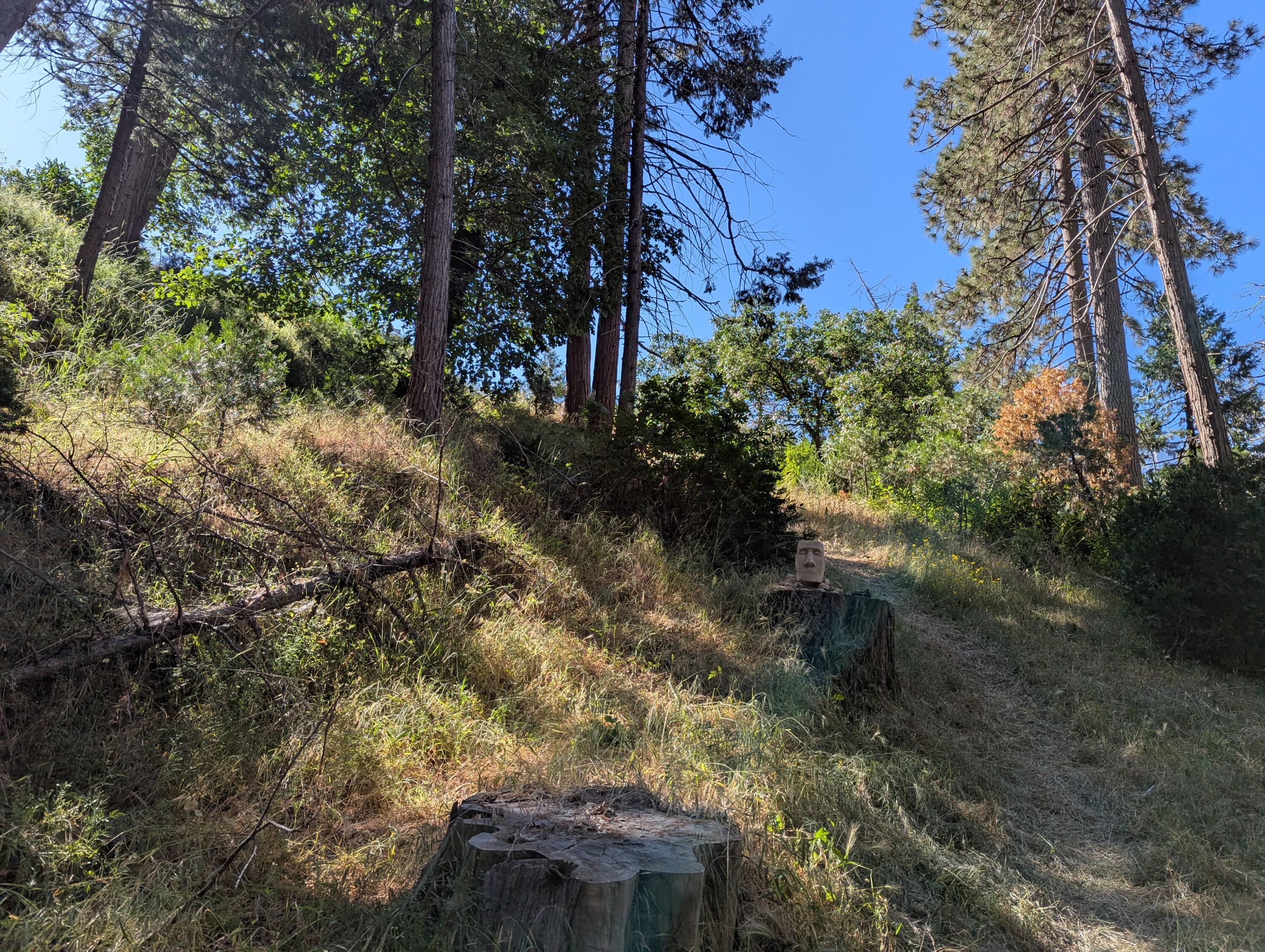 00 Mariposa Drive