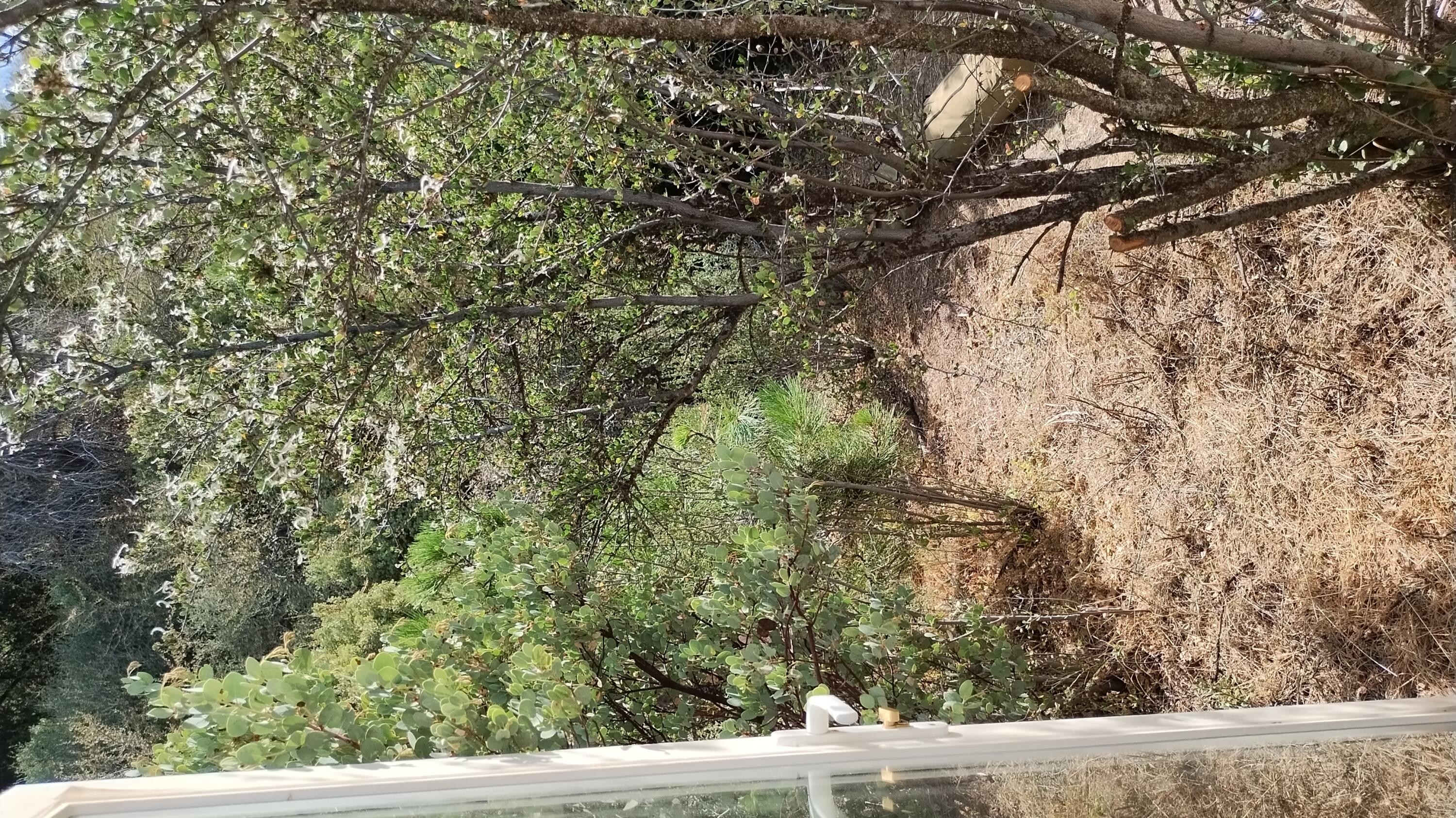 00 Mariposa Drive