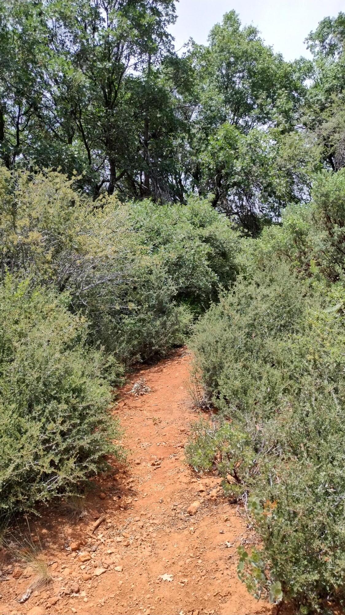 00 Mariposa Drive